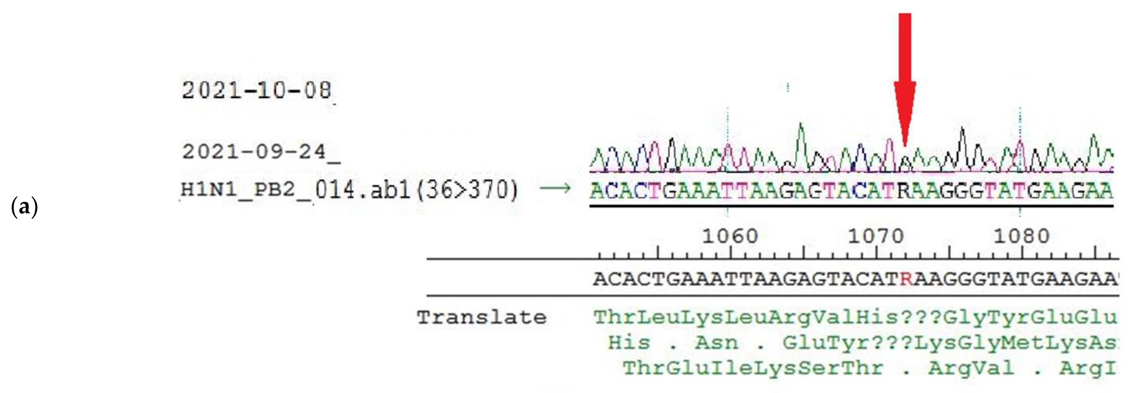 Vaccines 10 00395 g007a