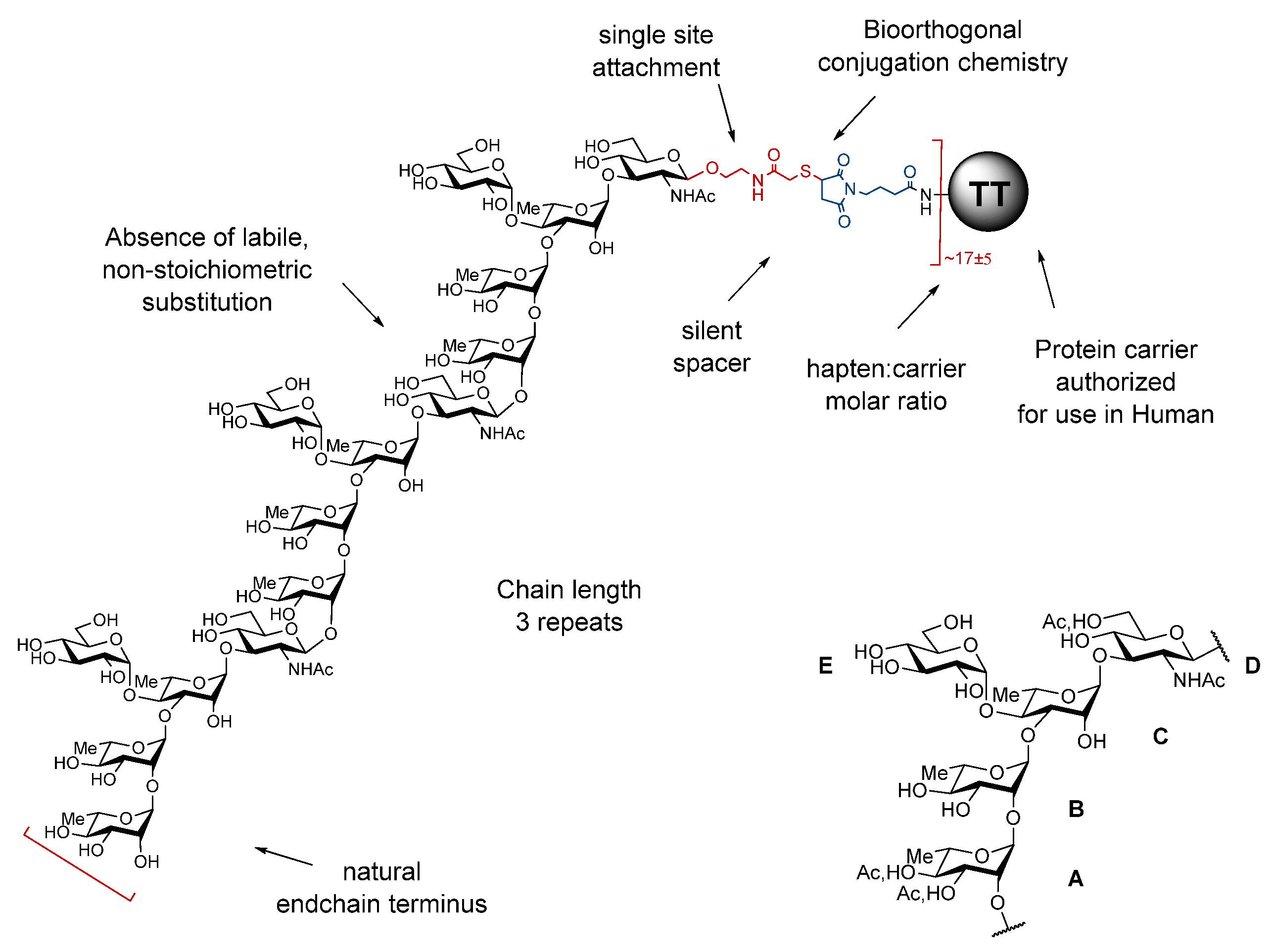 Vaccines 10 00403 g001