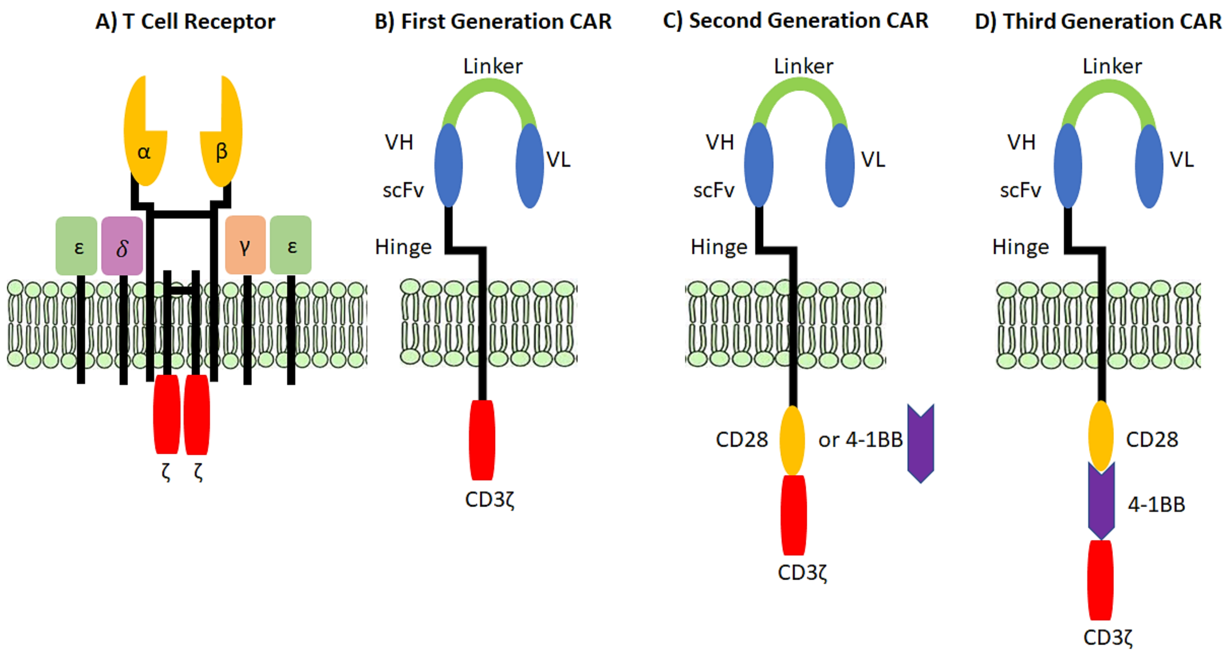 Vaccines 10 00457 g002