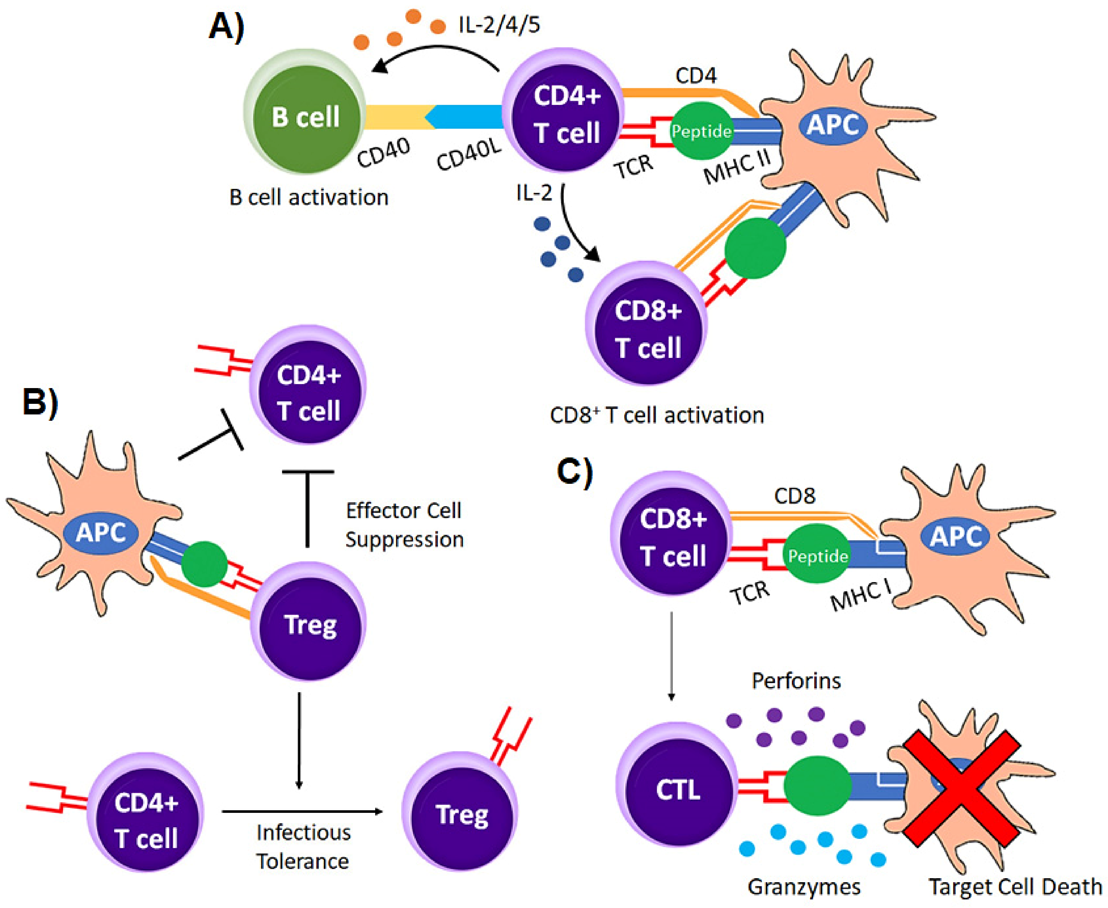 Vaccines 10 00457 g003