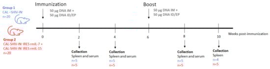 Vaccines 10 00461 g0a2