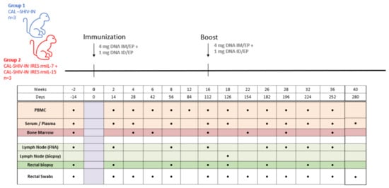 Vaccines 10 00461 g0a4