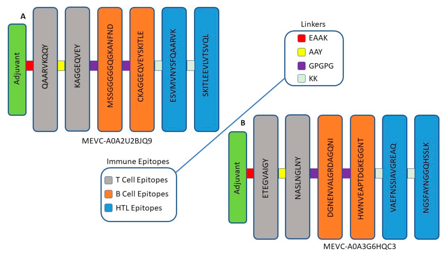 Vaccines 10 00462 g002