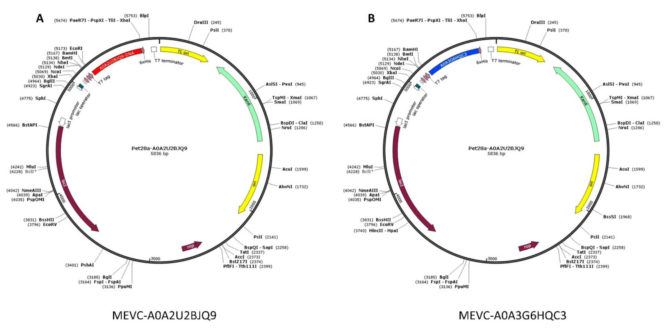 Vaccines 10 00462 g005