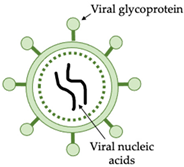 Vaccines 10 00478 i001