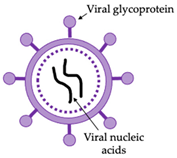 Vaccines 10 00478 i002