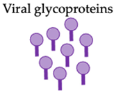 Vaccines 10 00478 i003