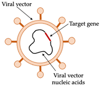 Vaccines 10 00478 i004