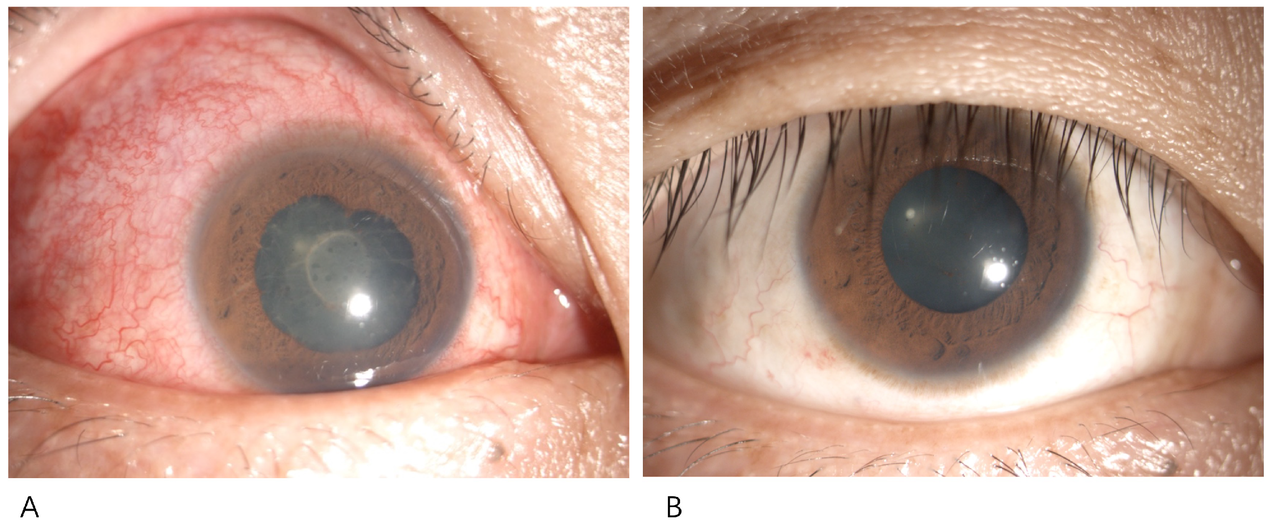 Vaccines 10 00482 g001