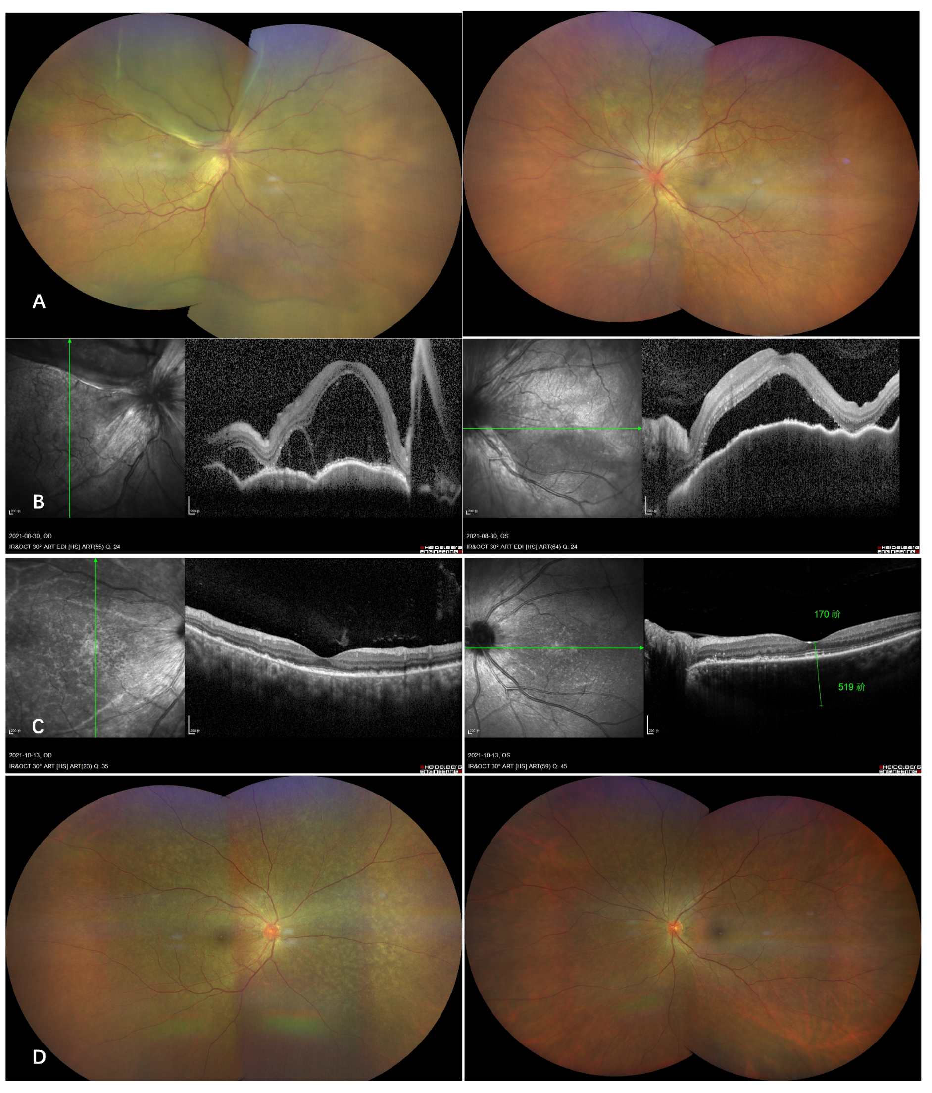 Vaccines 10 00482 g002