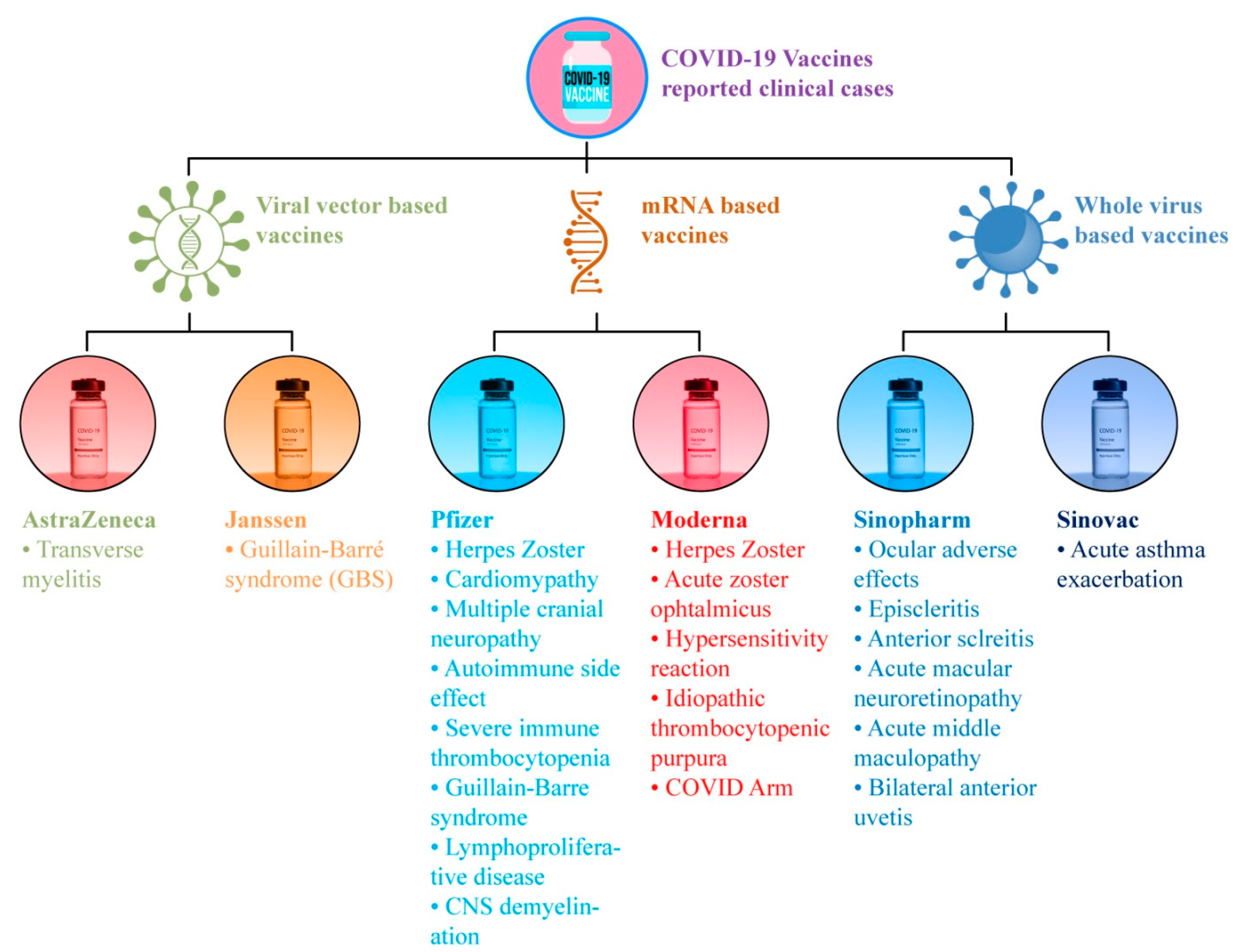 Vaccines 10 00488 g002