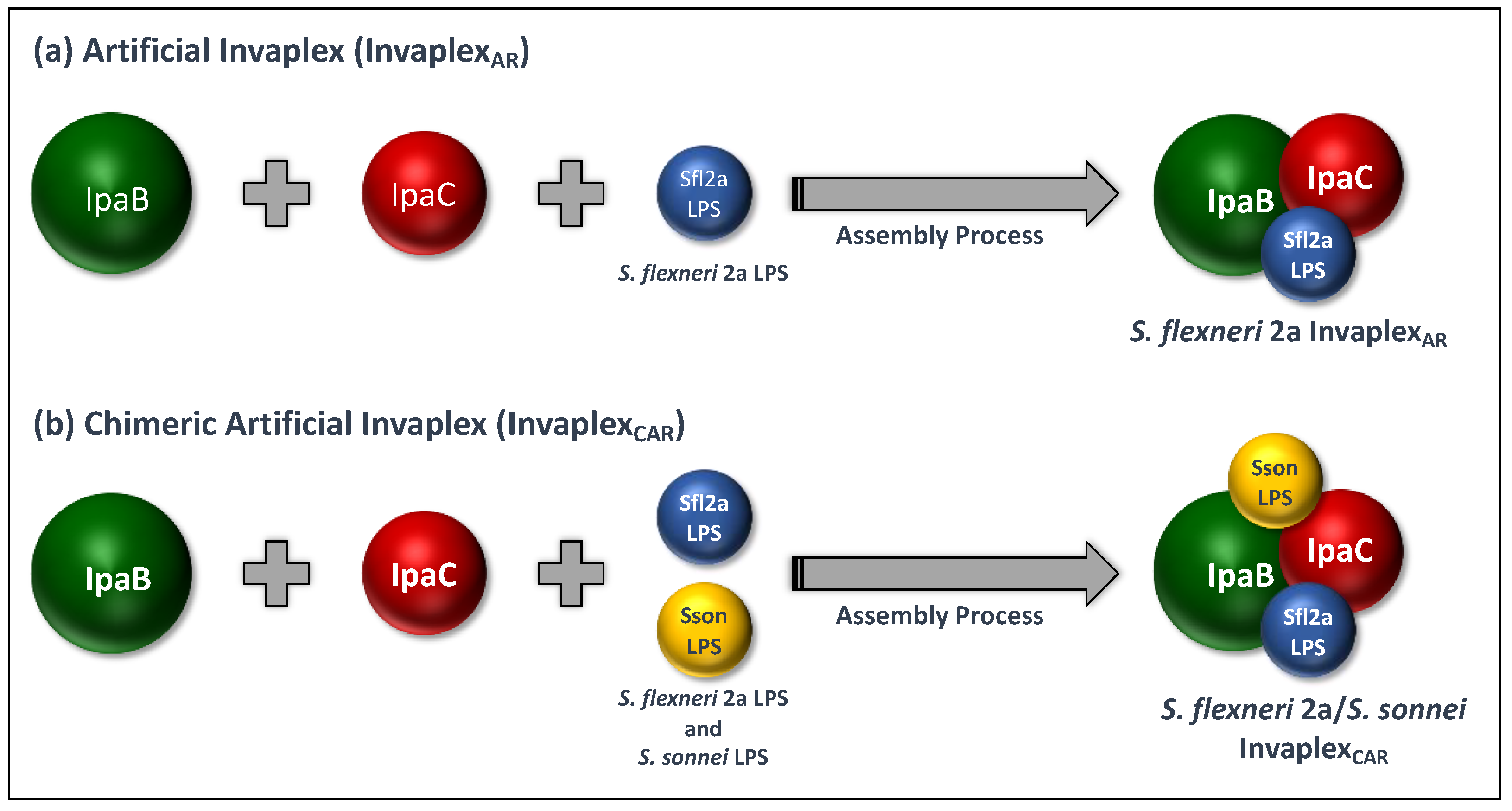 Vaccines 10 00548 g002 Vaccines 10 00548 g002