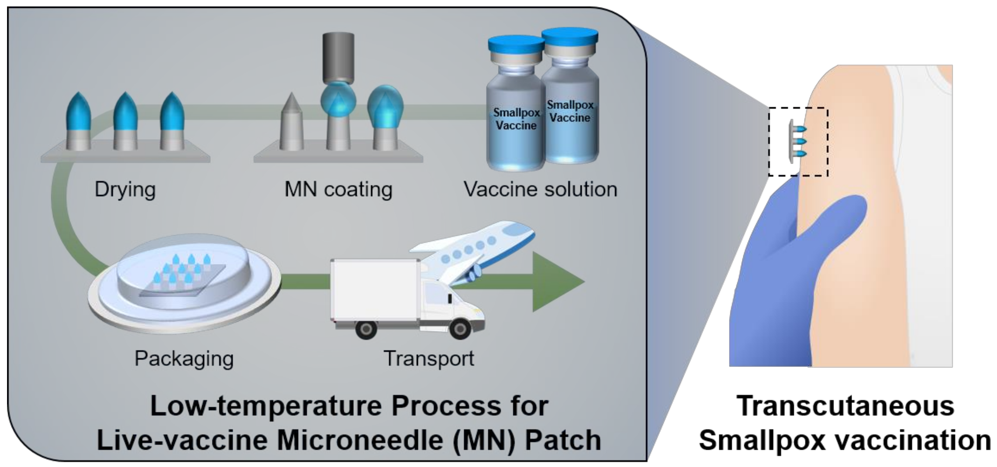 Vaccines 10 00561 g001