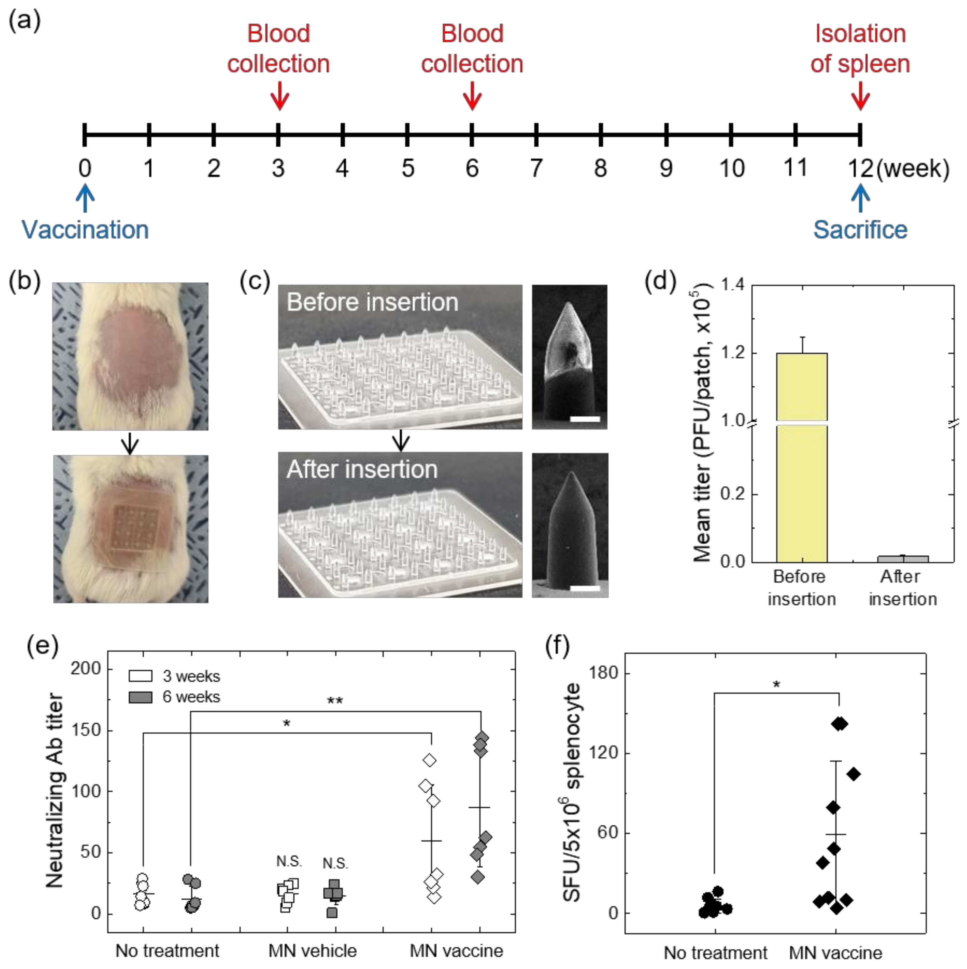 Vaccines 10 00561 g004