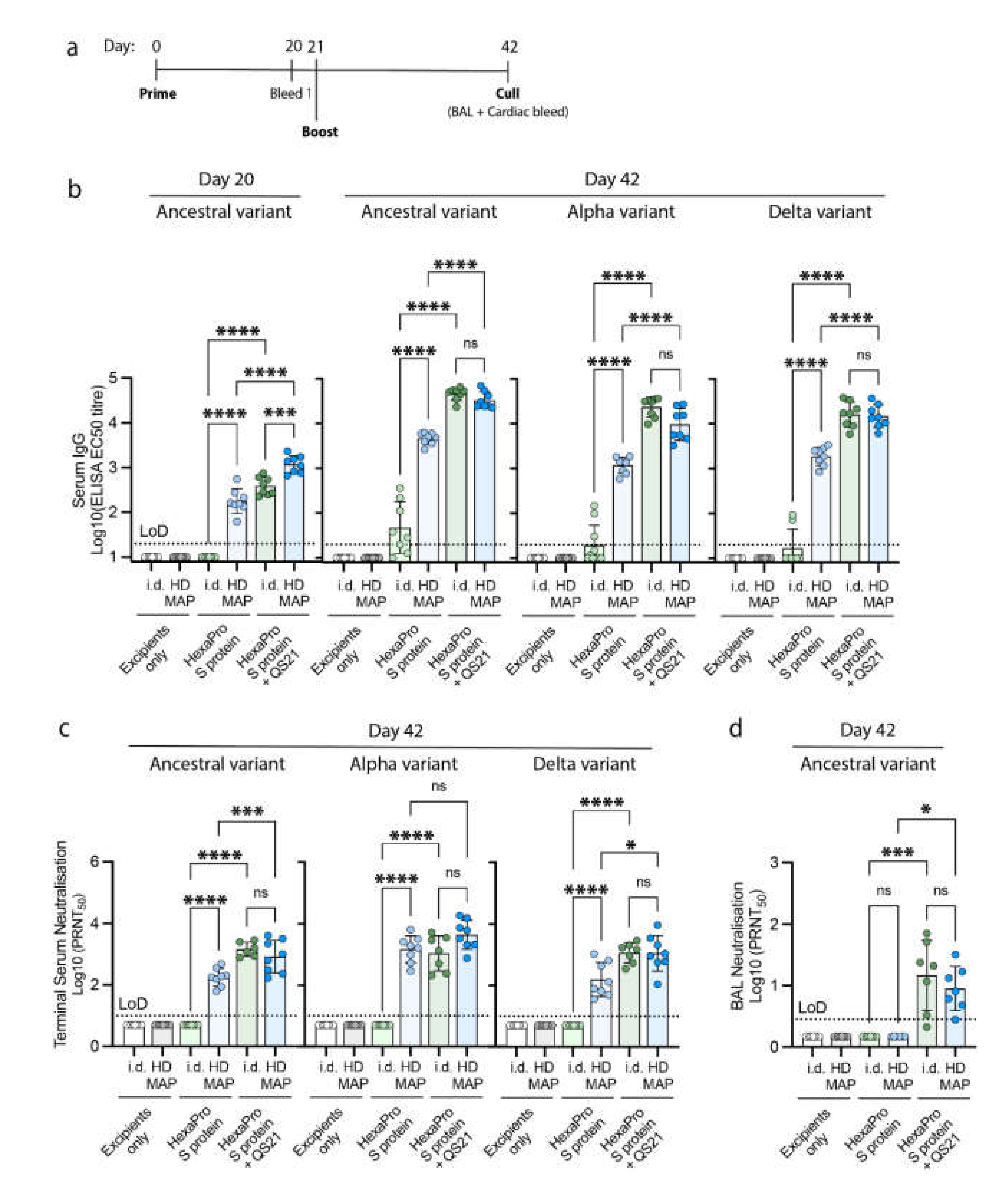 Vaccines 10 00578 g003