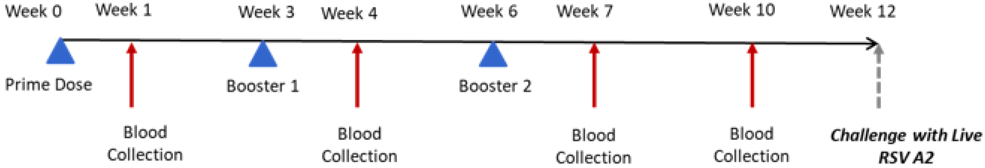 Vaccines 10 00584 g001