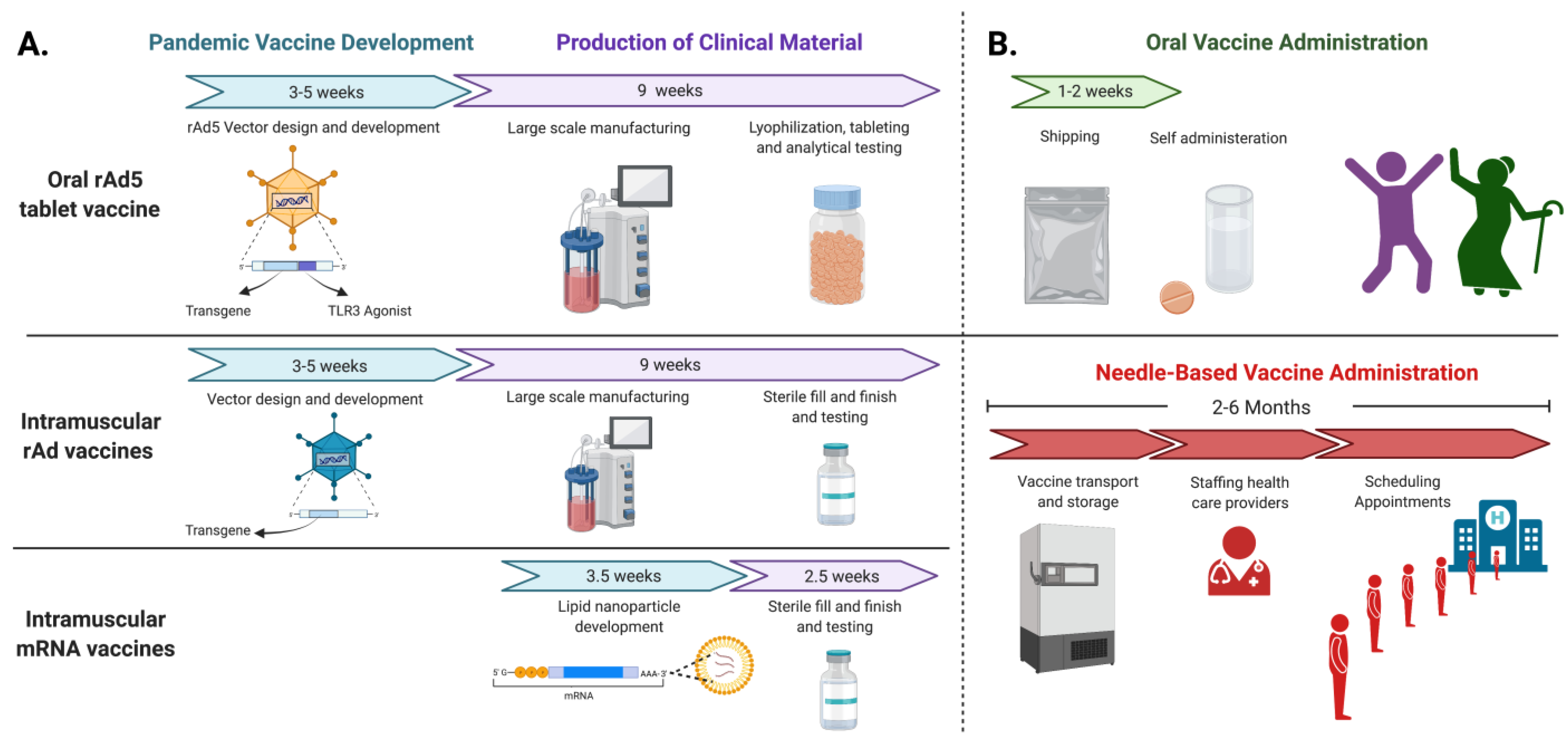 Vaccines 10 00593 g001