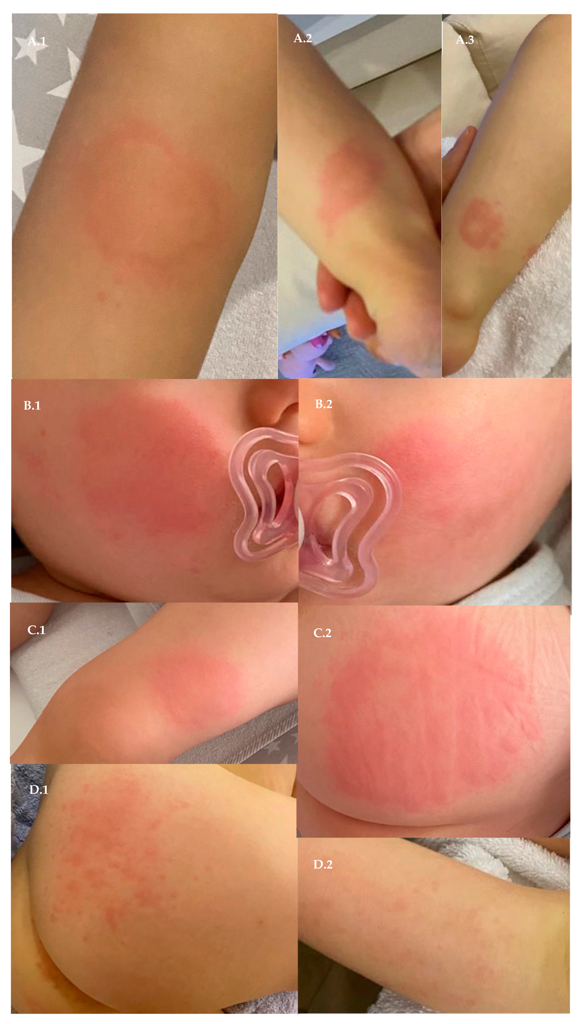 Vaccines 10 00602 g001