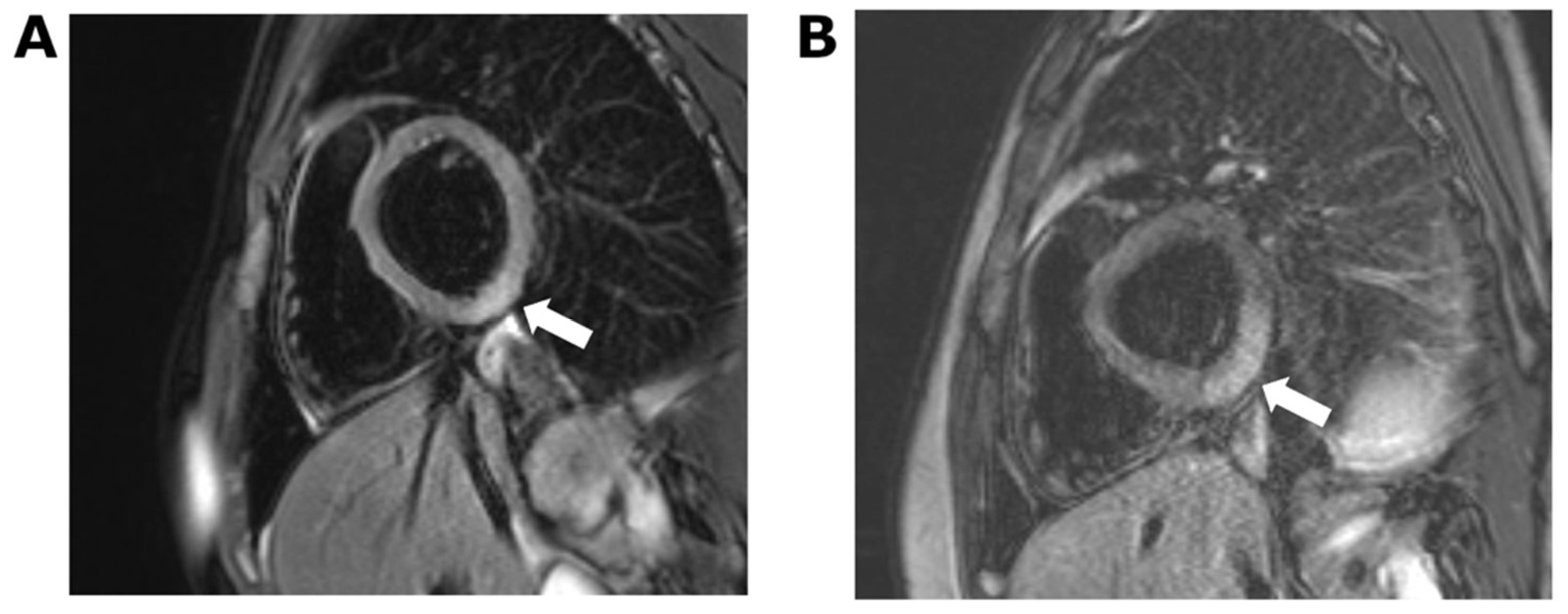 Vaccines 10 00611 g002