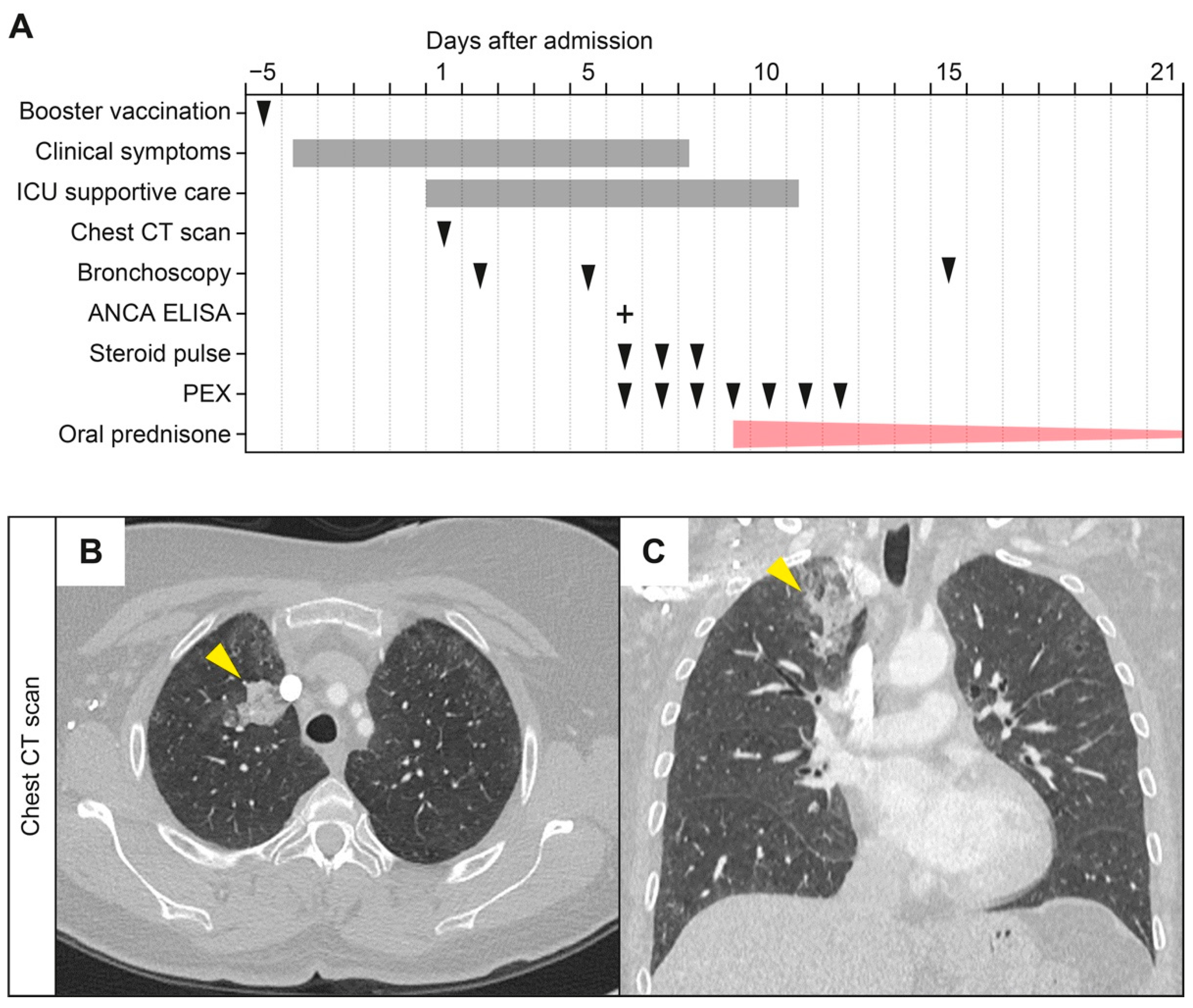 Vaccines 10 00653 g001