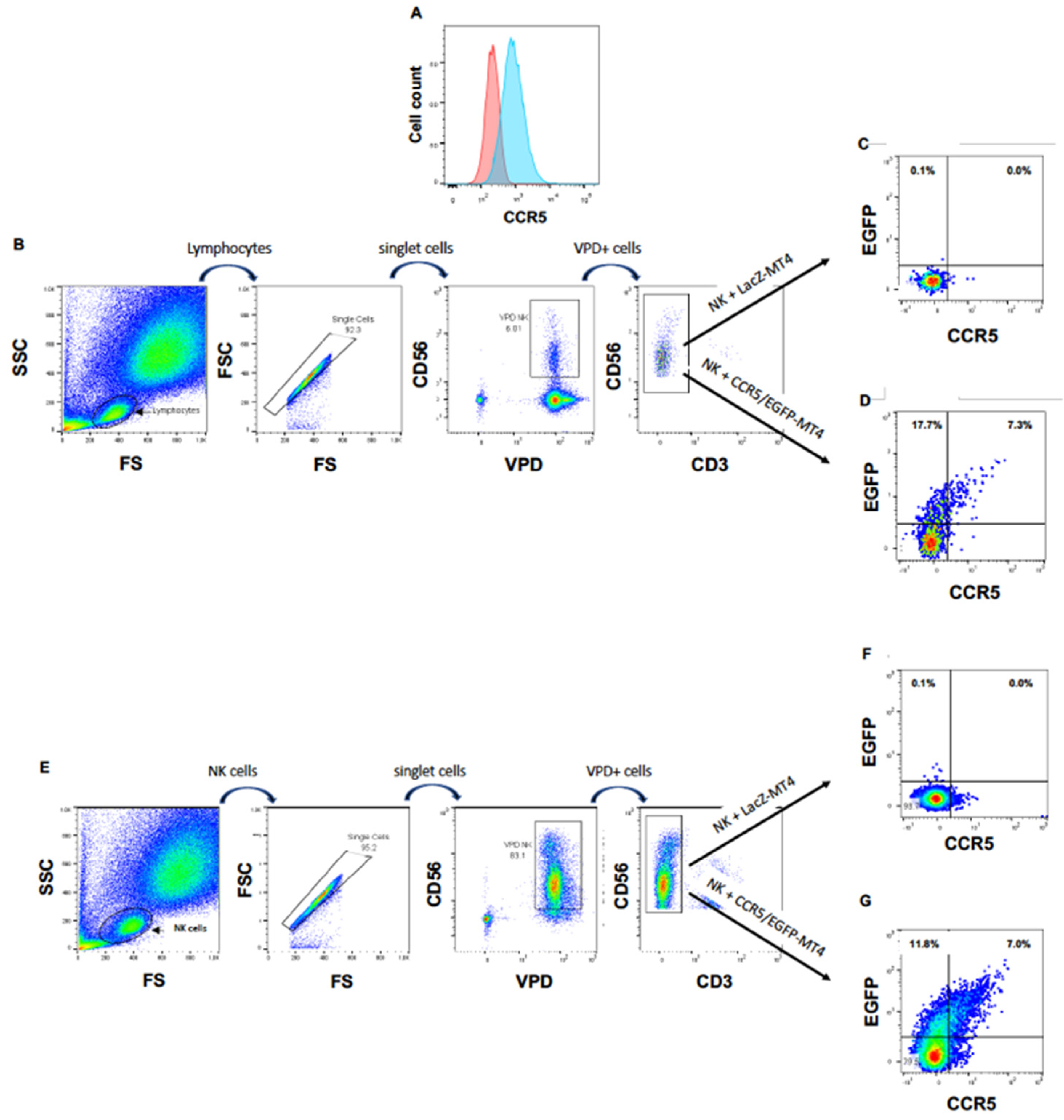 Vaccines 10 00688 g002