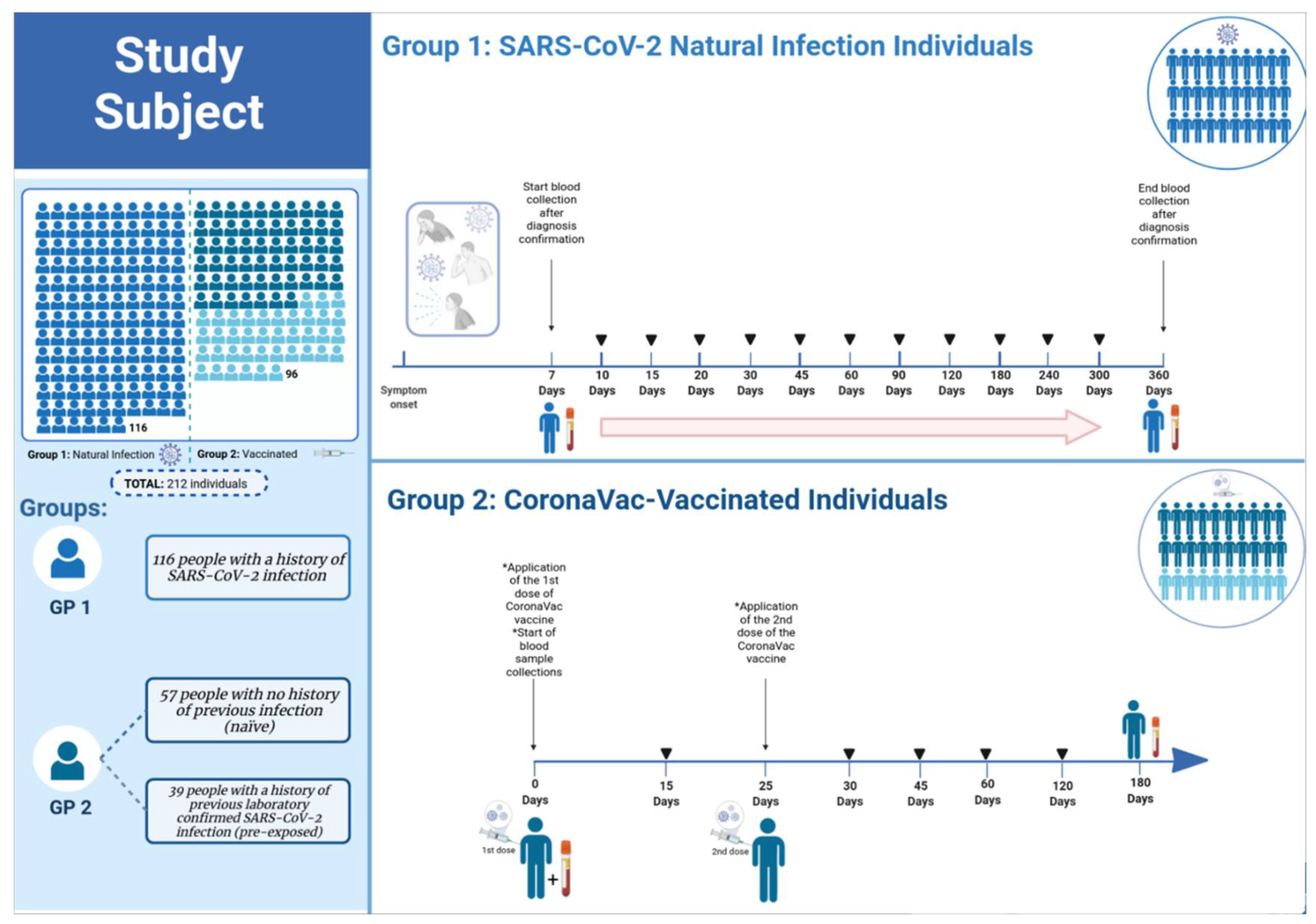 Vaccines 10 00690 g001