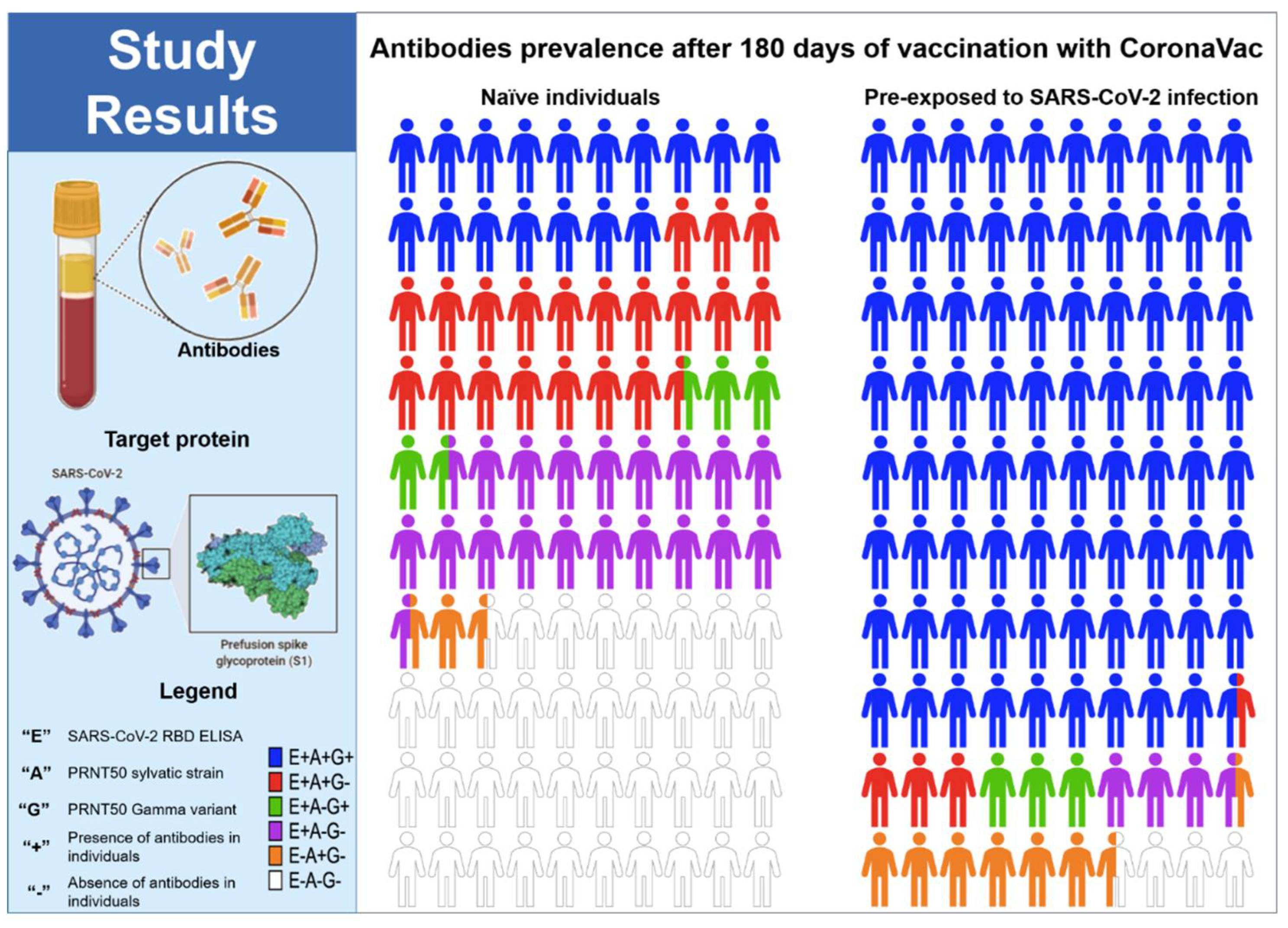 Vaccines 10 00690 g005