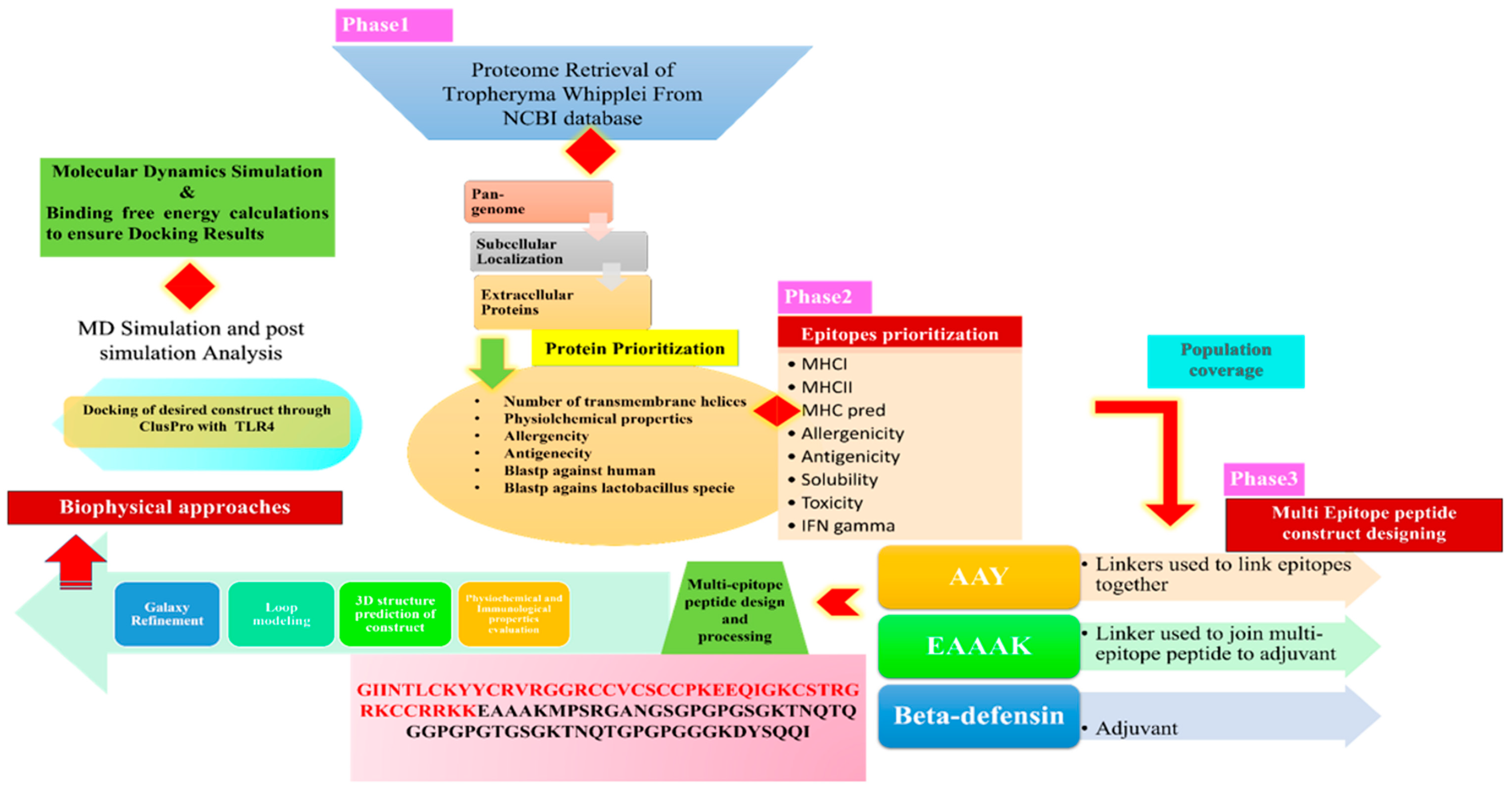 Vaccines 10 00691 g001