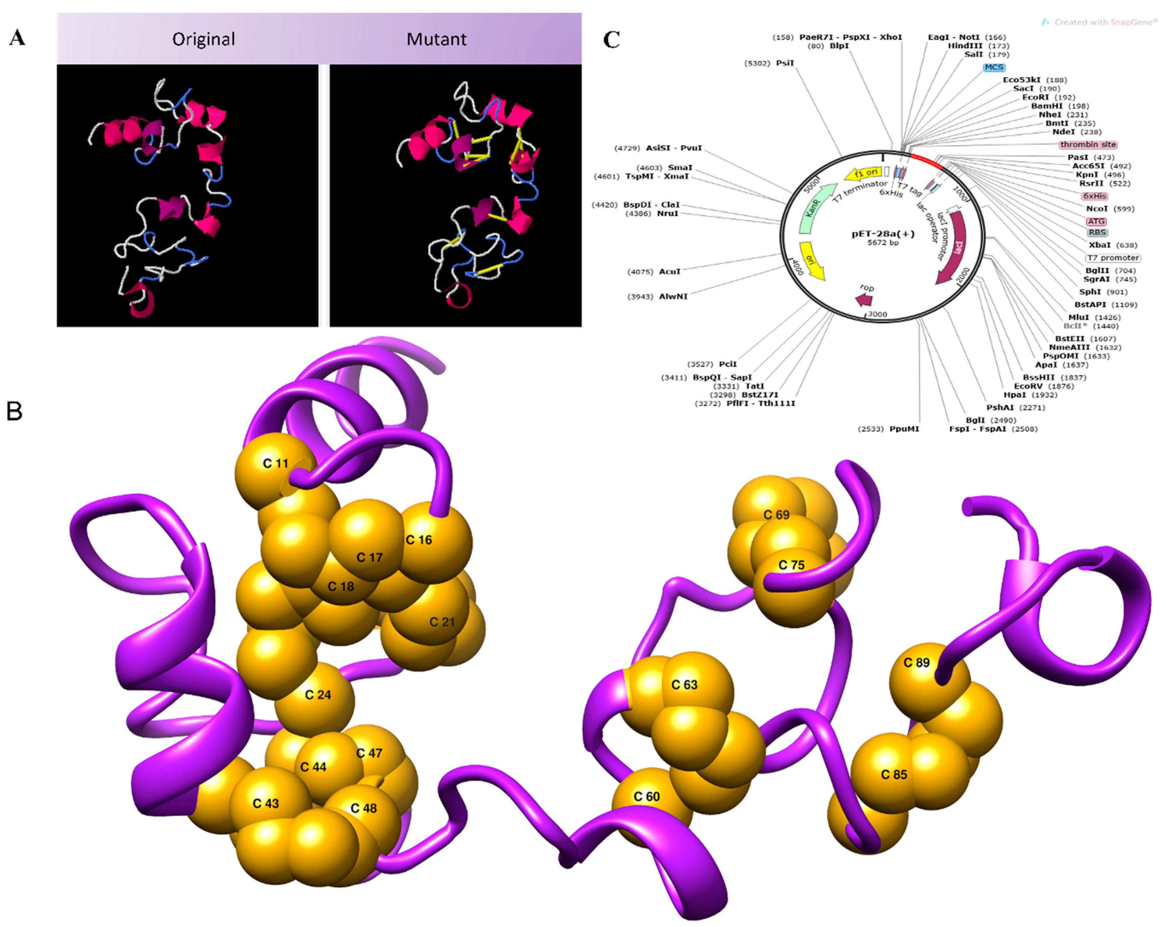 Vaccines 10 00691 g005