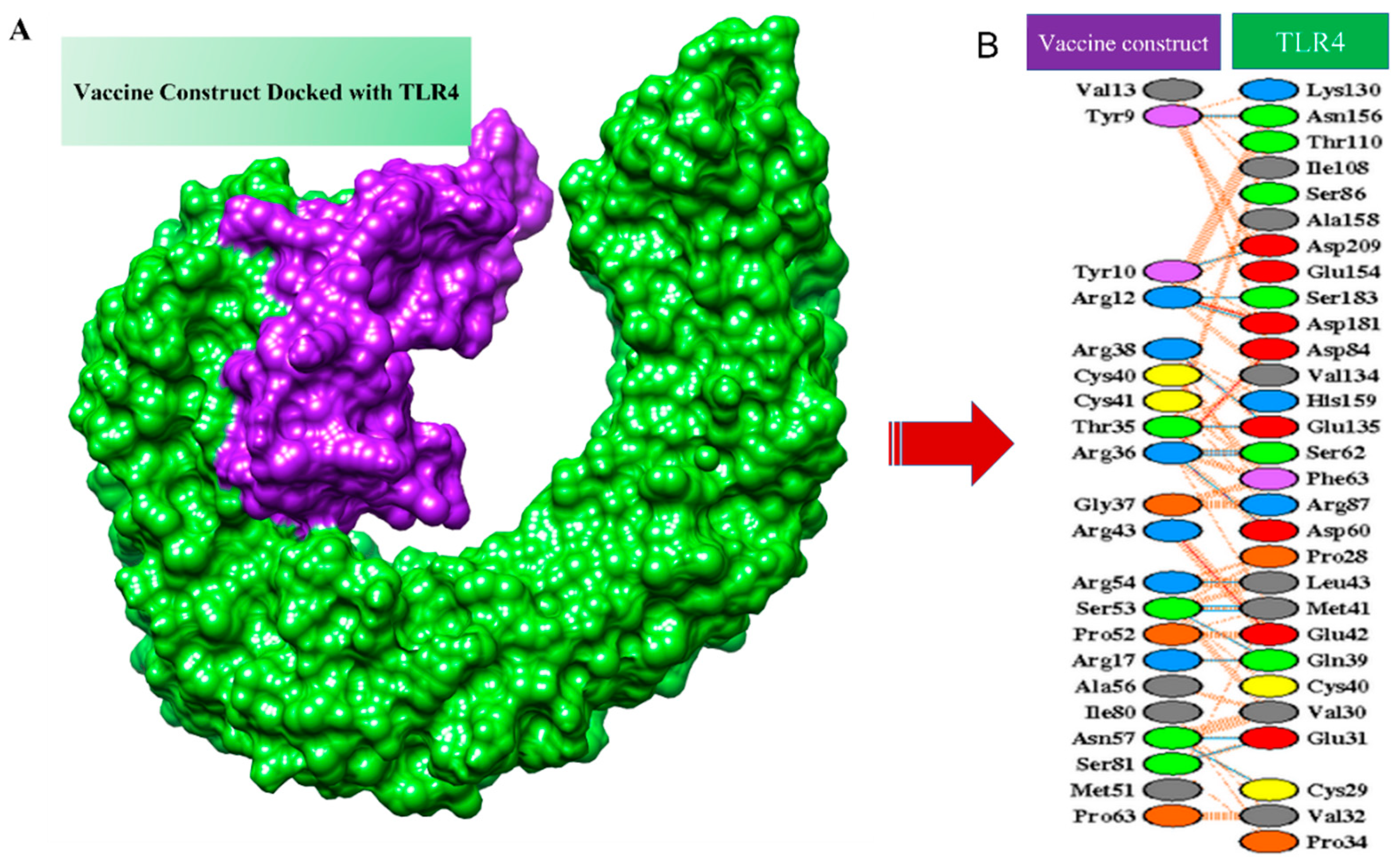 Vaccines 10 00691 g007