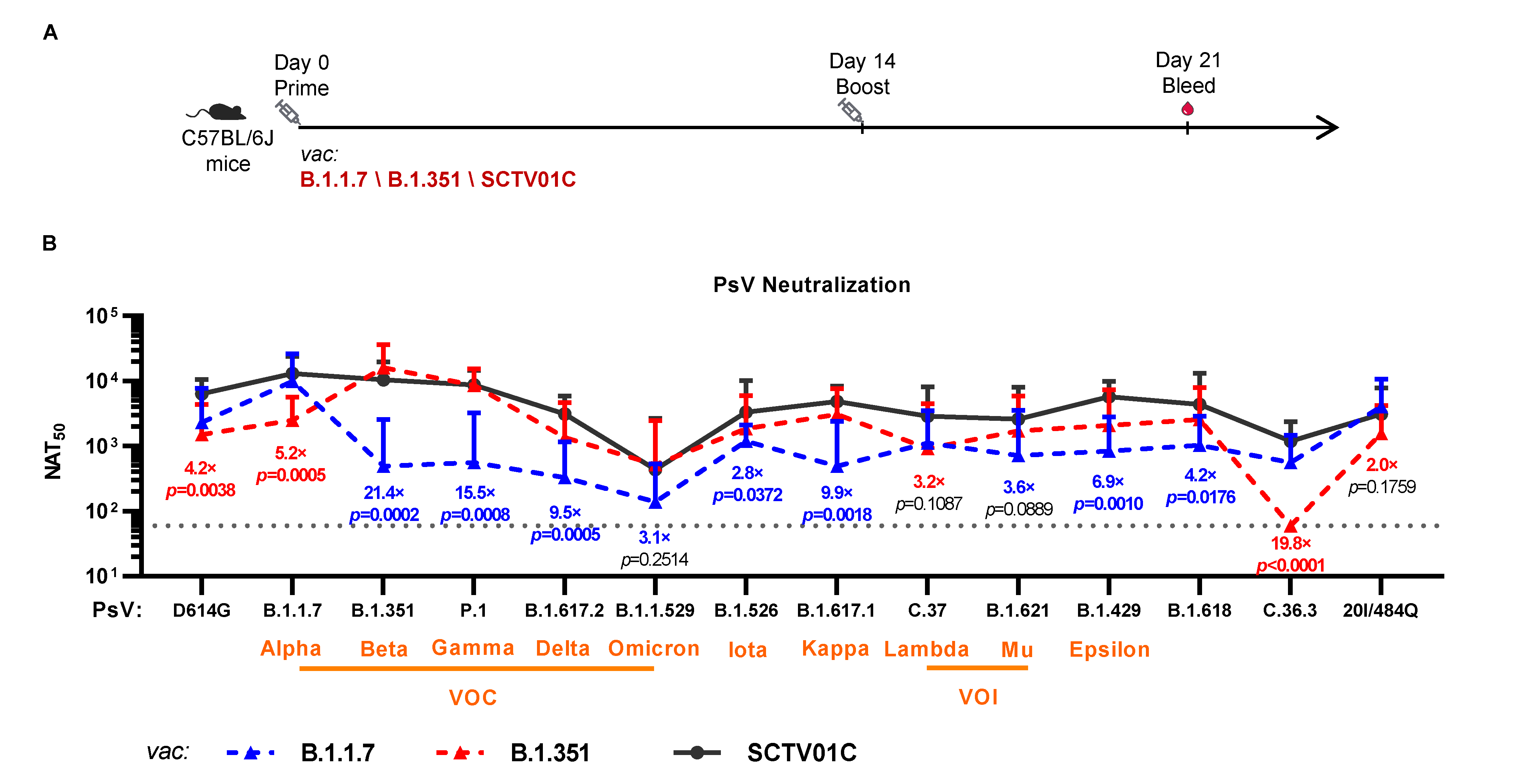 Vaccines 10 00702 g003