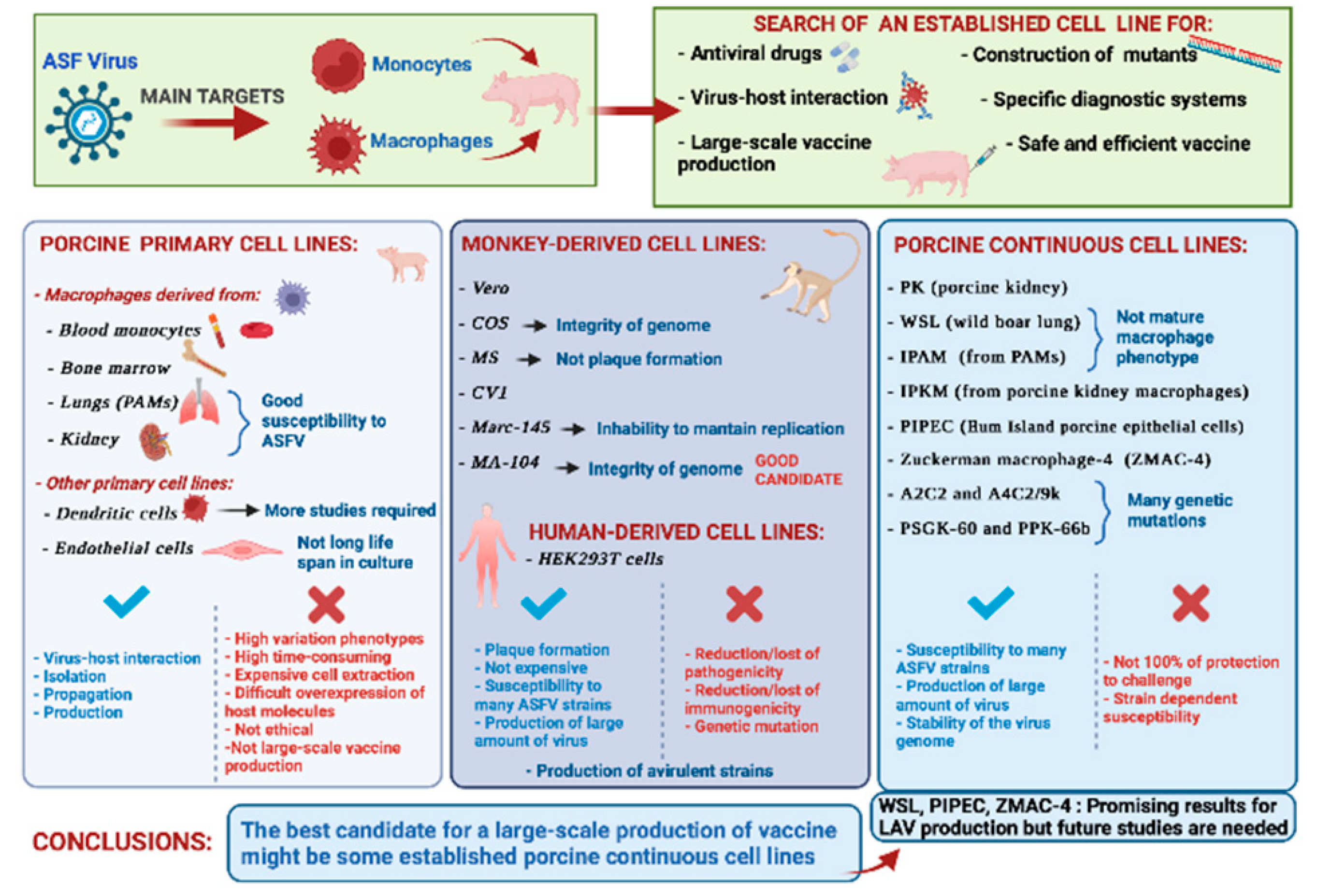Vaccines 10 00707 g003