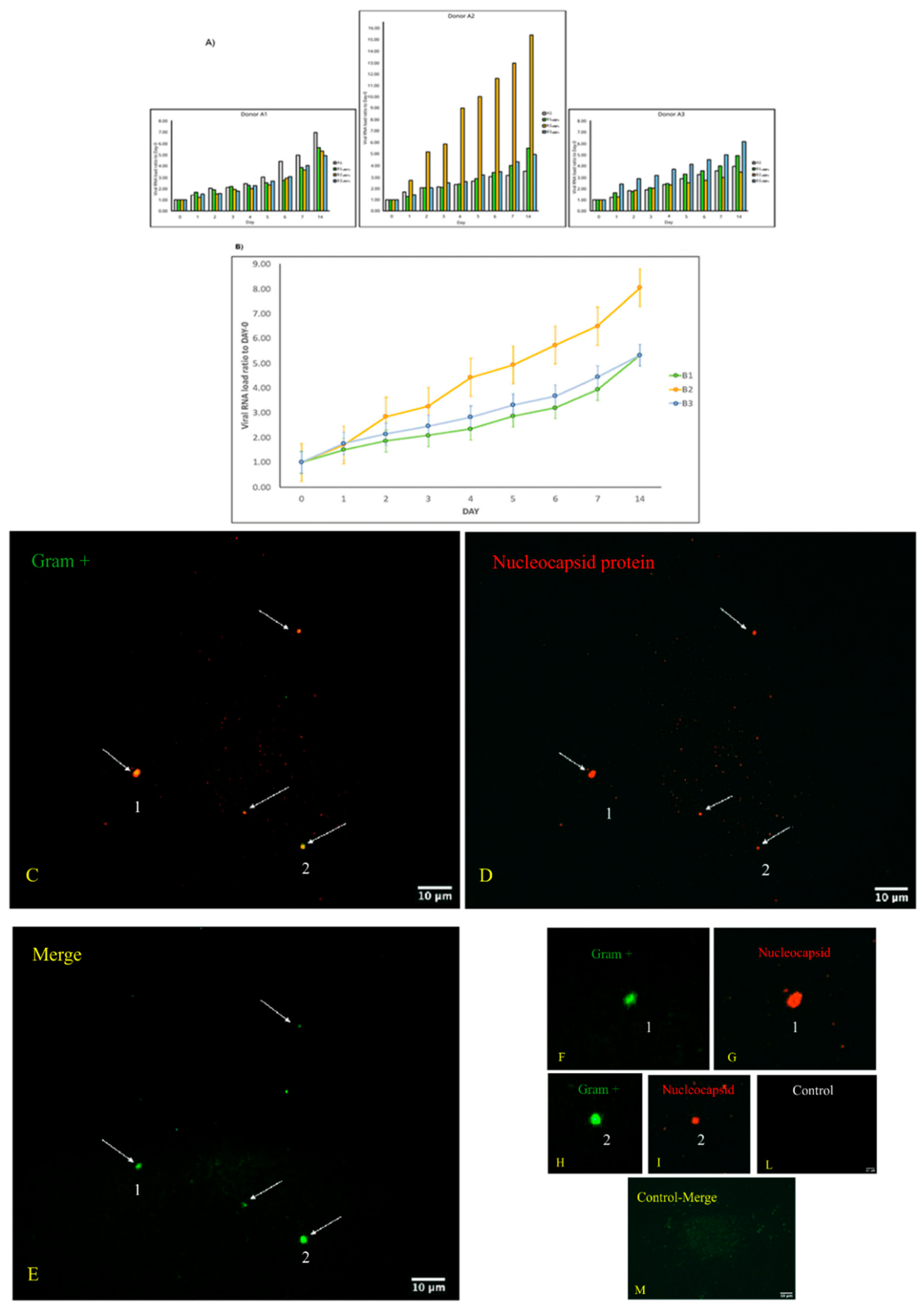 Vaccines 10 00708 g001 Vaccines 10 00708 g001