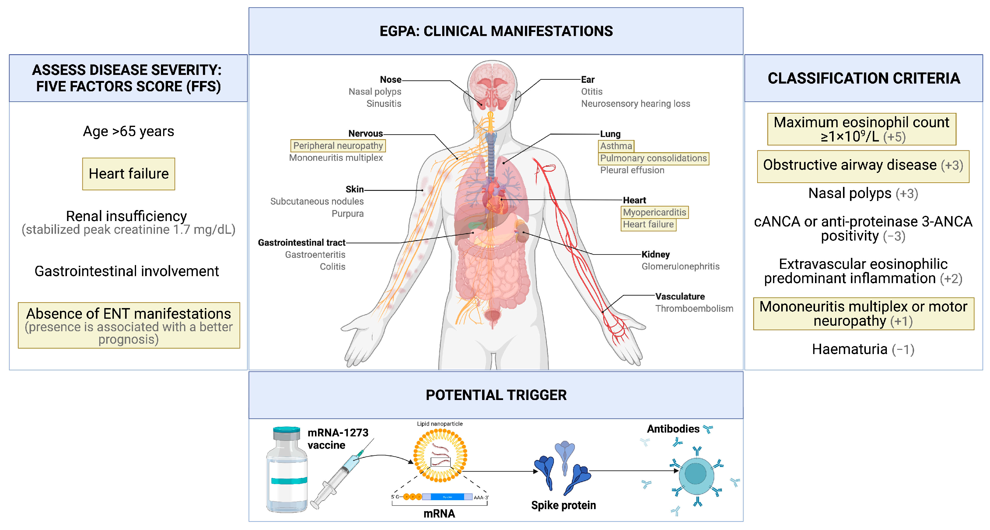 Vaccines 10 00716 g003