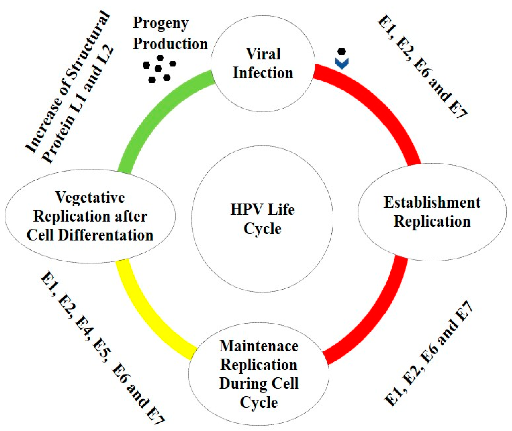Vaccines 10 00731 g001