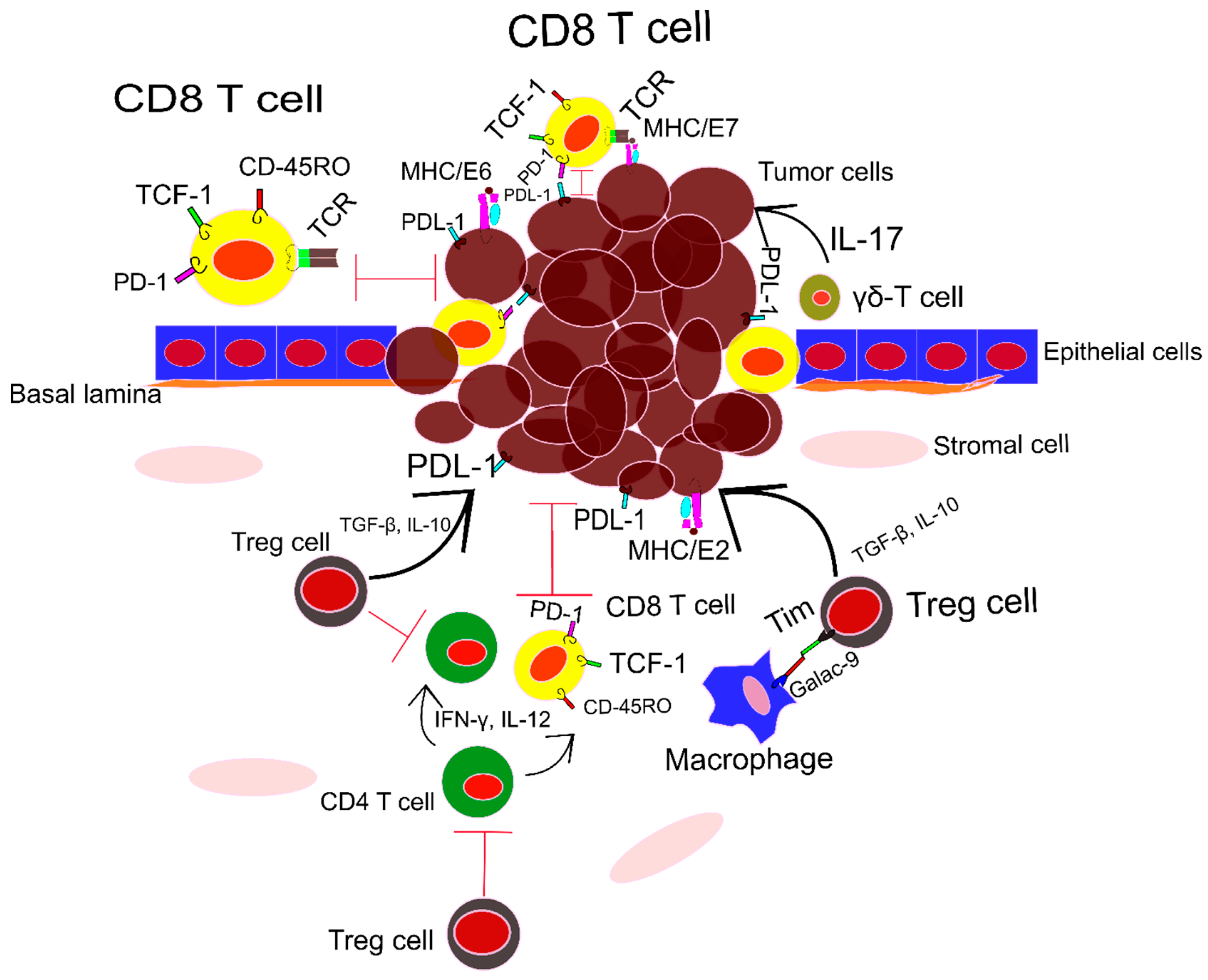 Vaccines 10 00731 g002