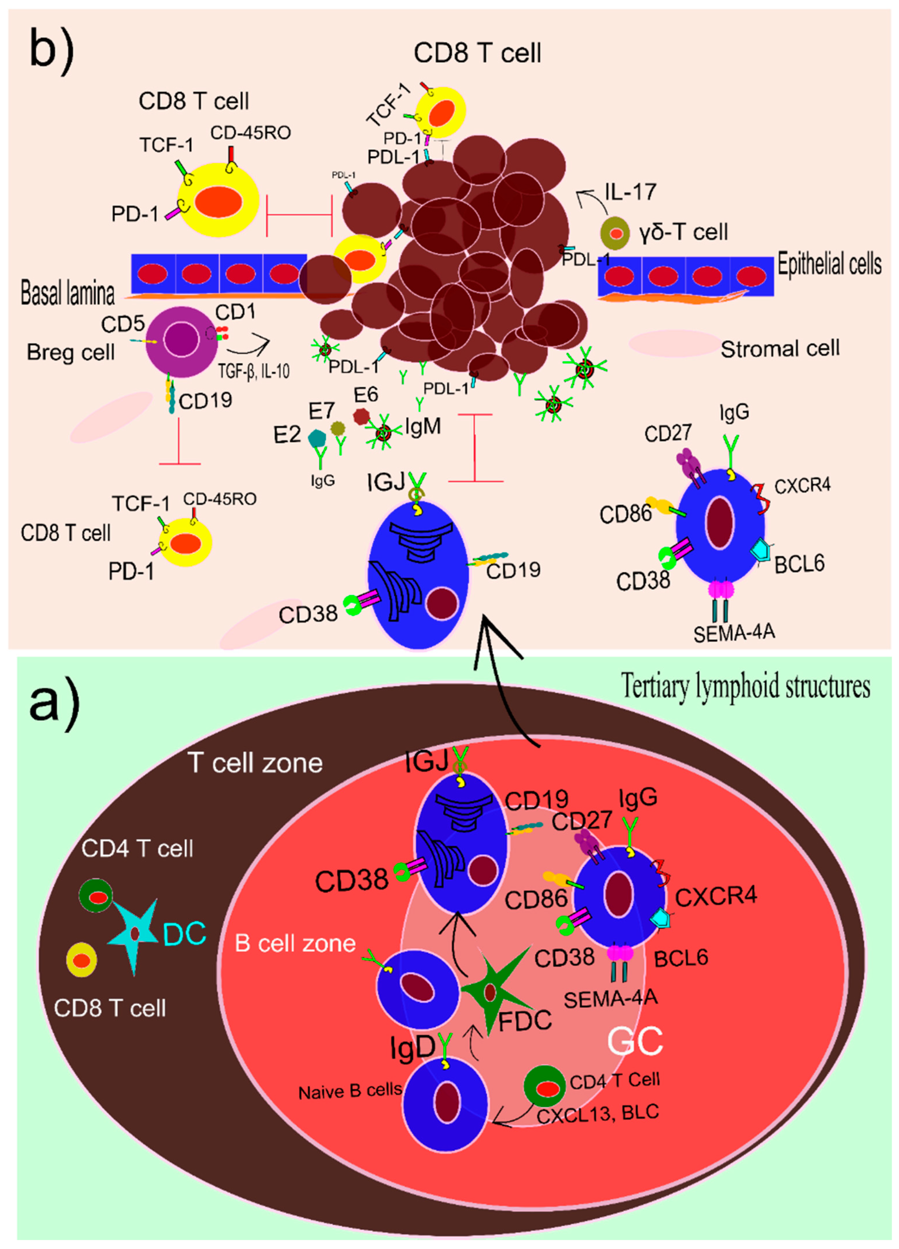 Vaccines 10 00731 g003