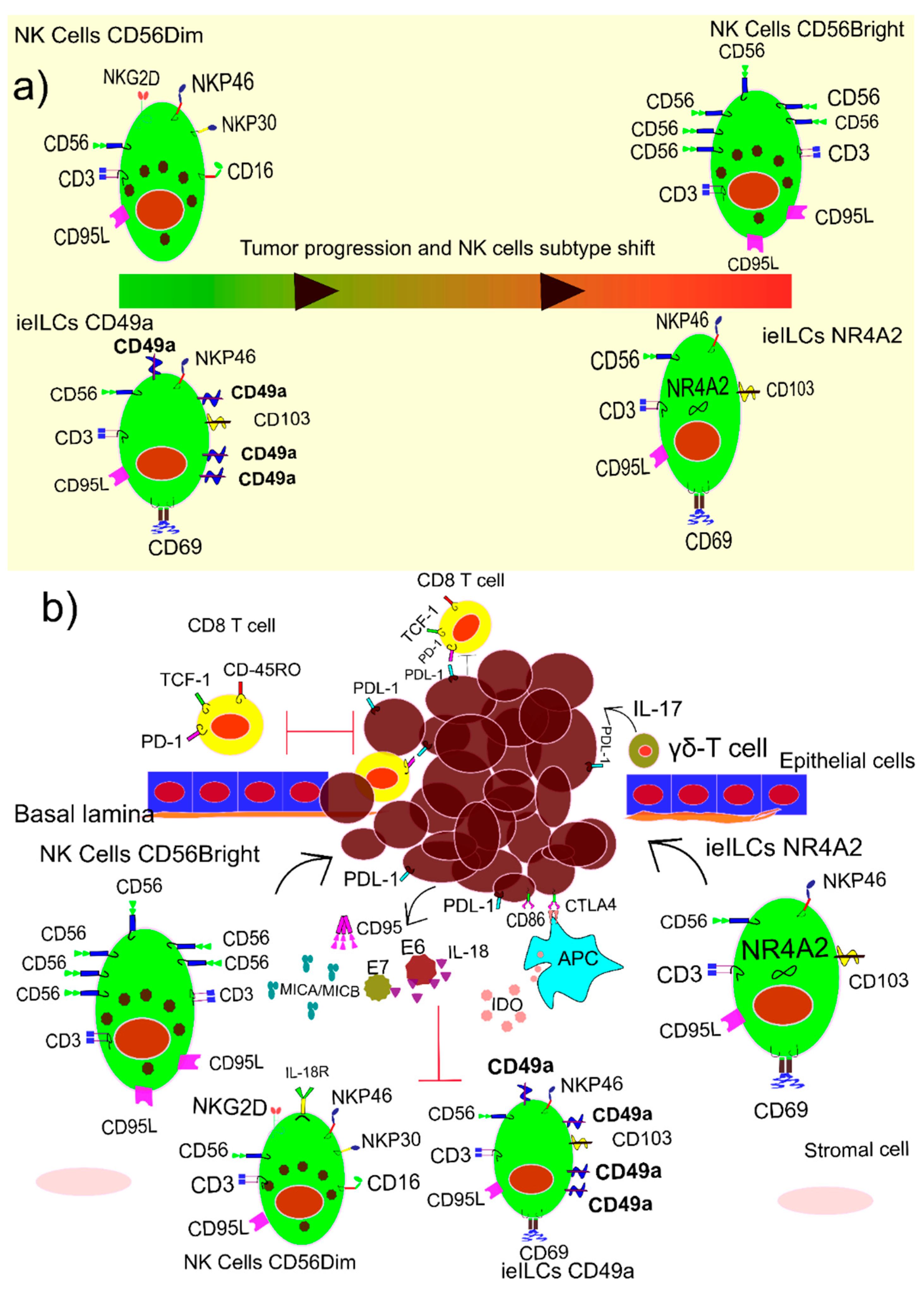 Vaccines 10 00731 g004
