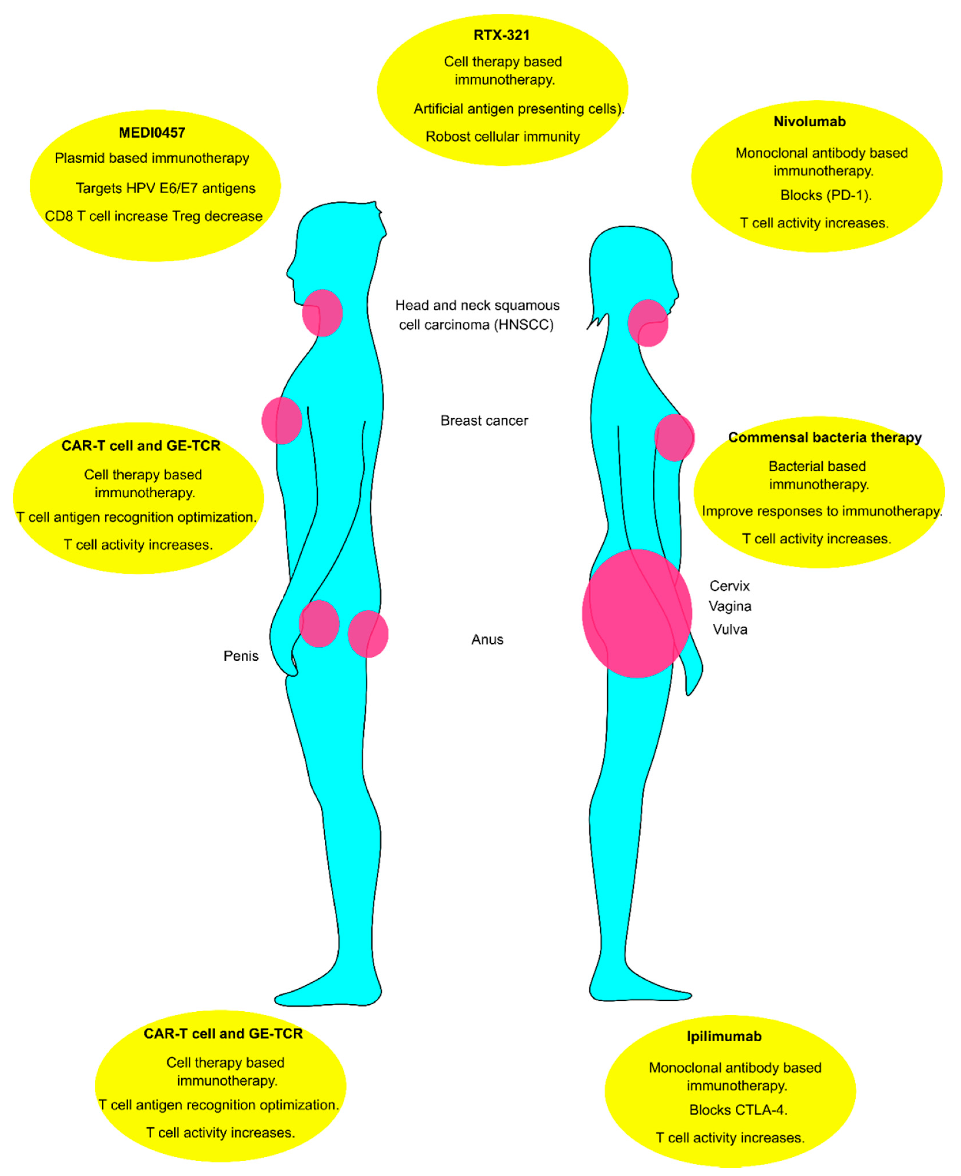 Vaccines 10 00731 g005