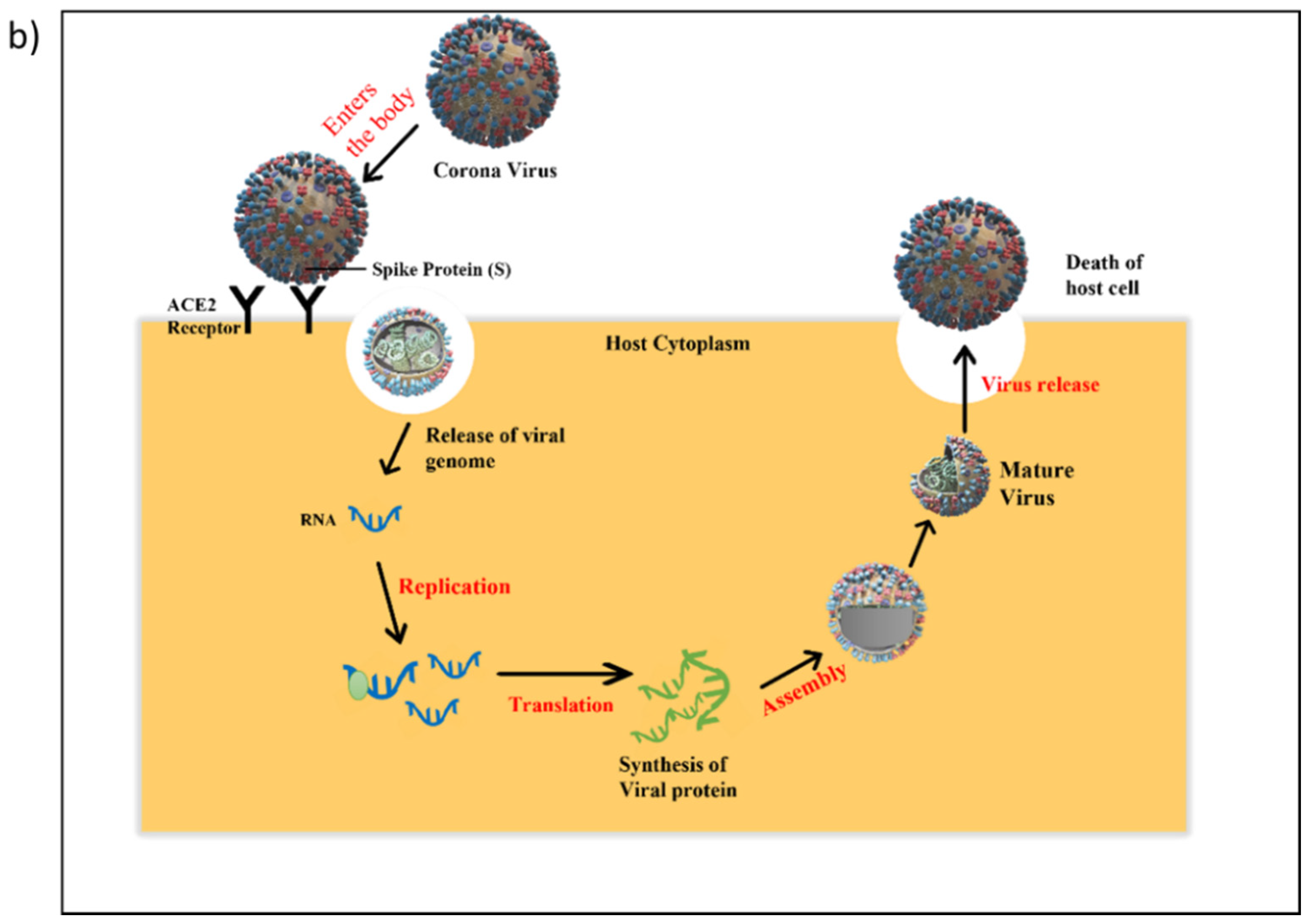 Vaccines 10 00737 g001b