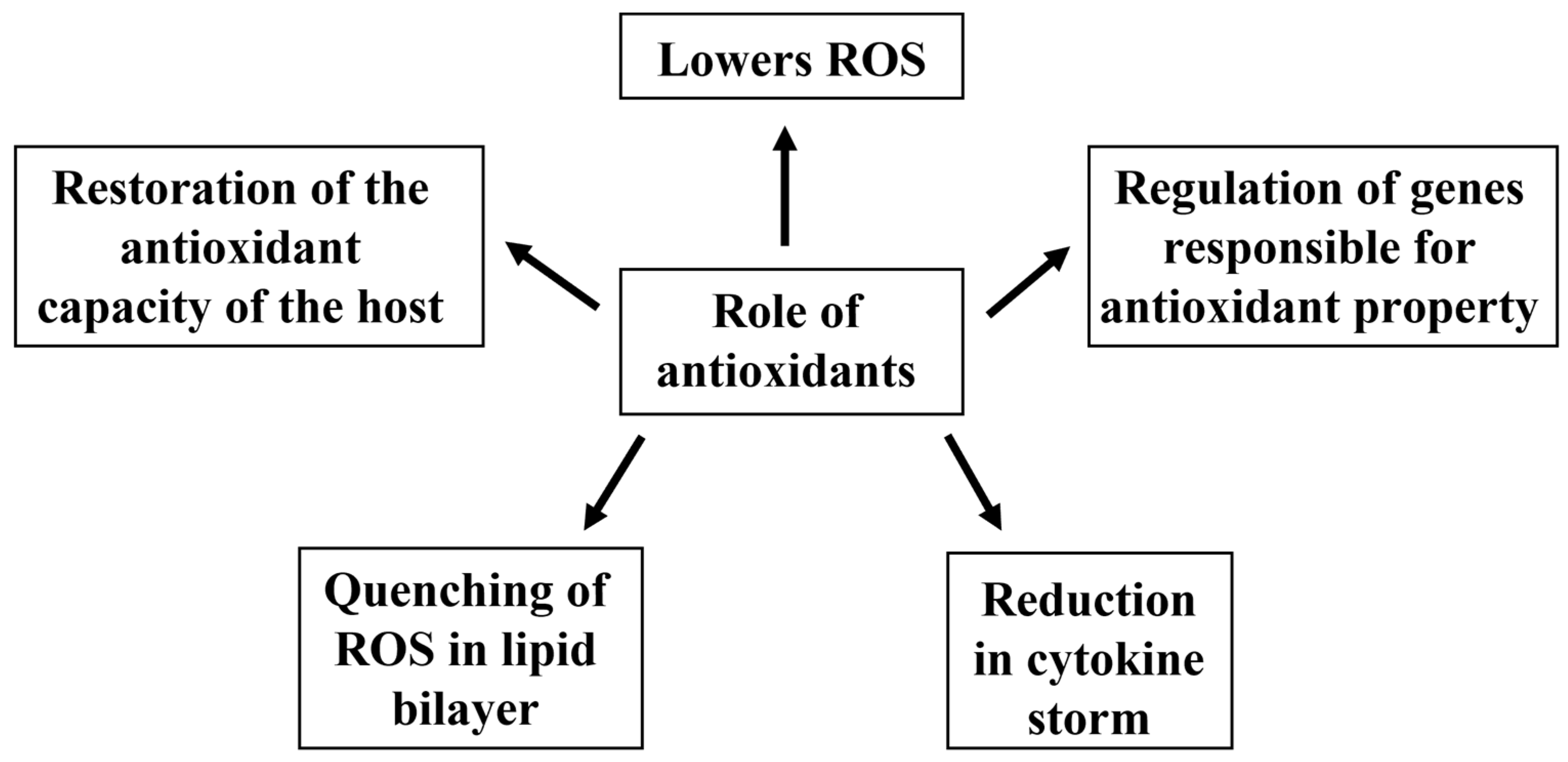 Vaccines 10 00737 g004
