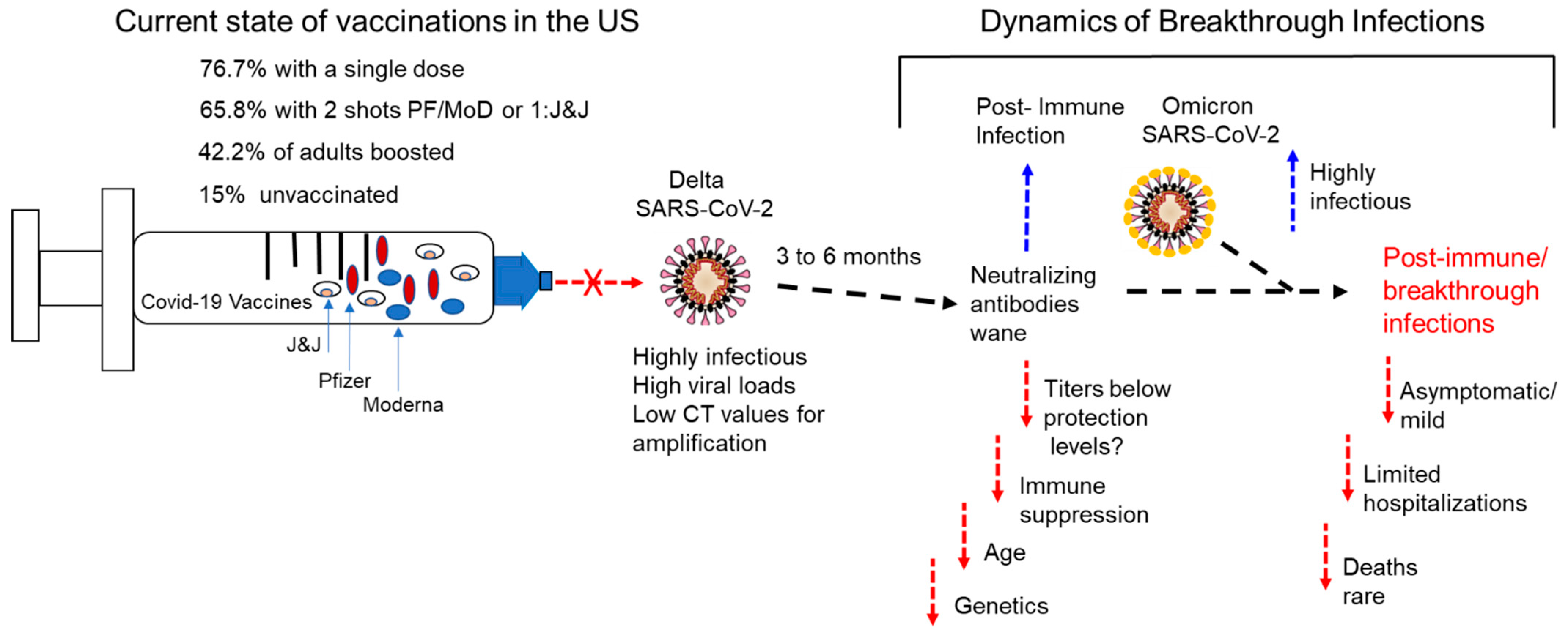 Vaccines 10 00755 g003