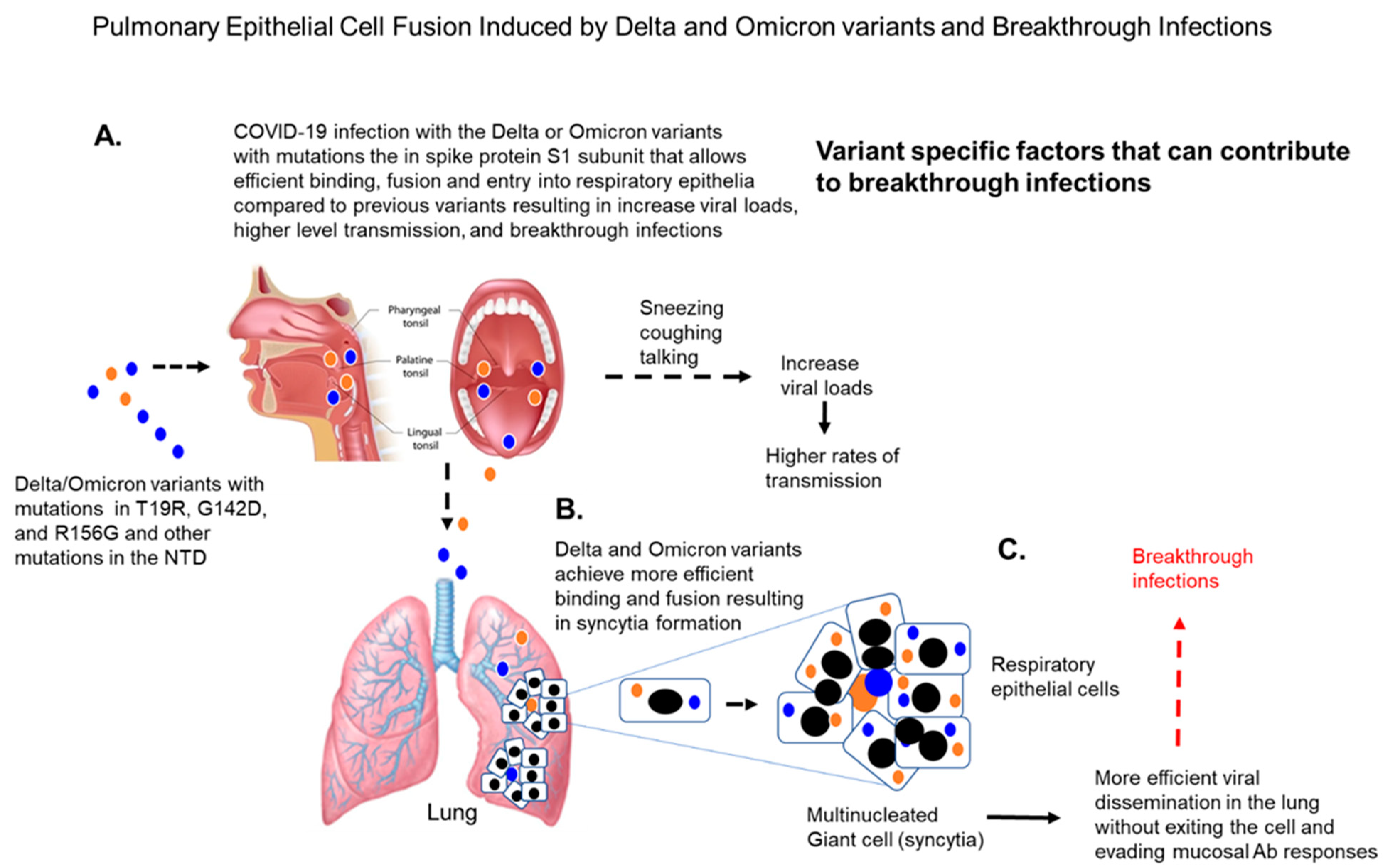 Vaccines 10 00755 g004