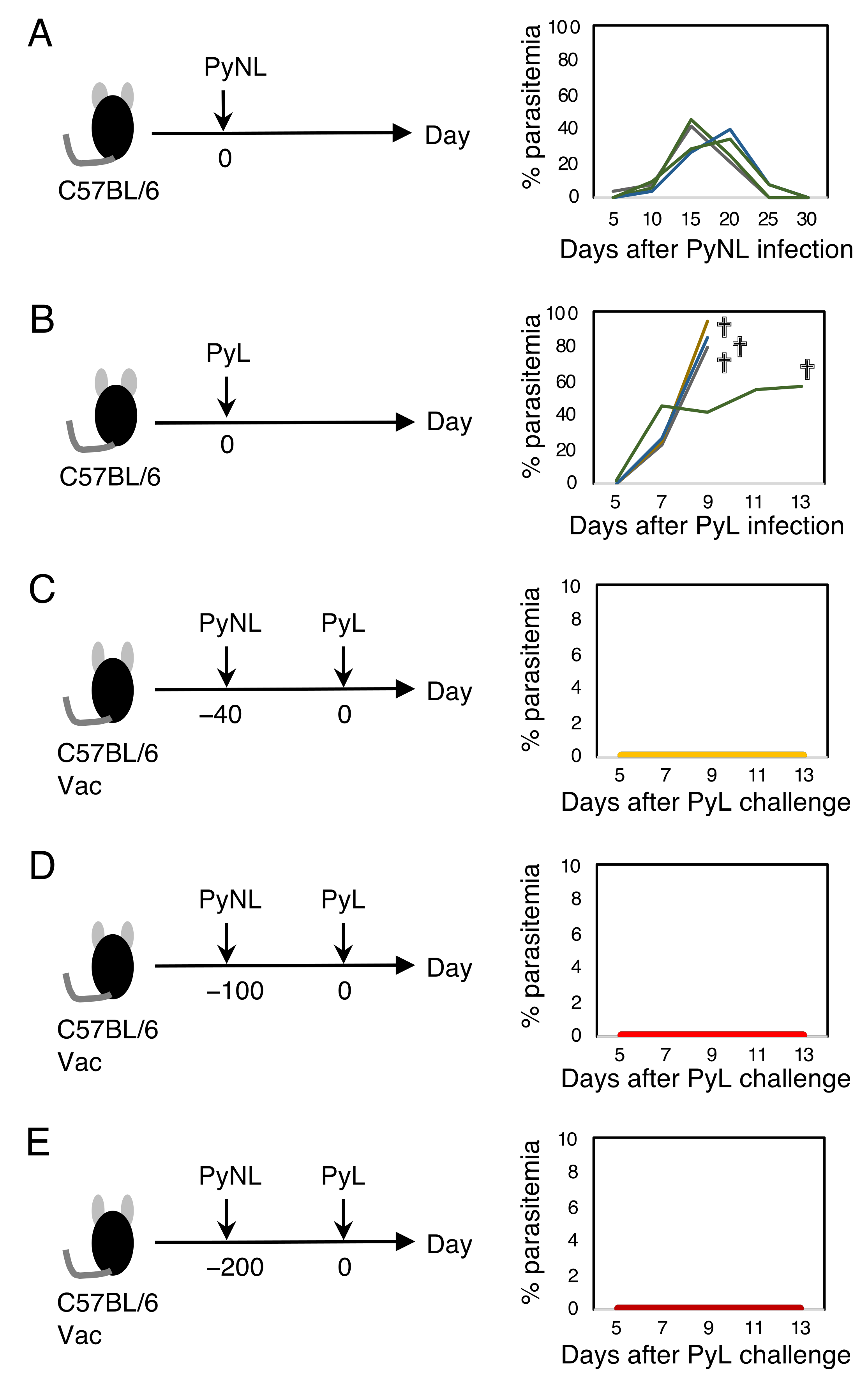 Vaccines 10 00762 g001