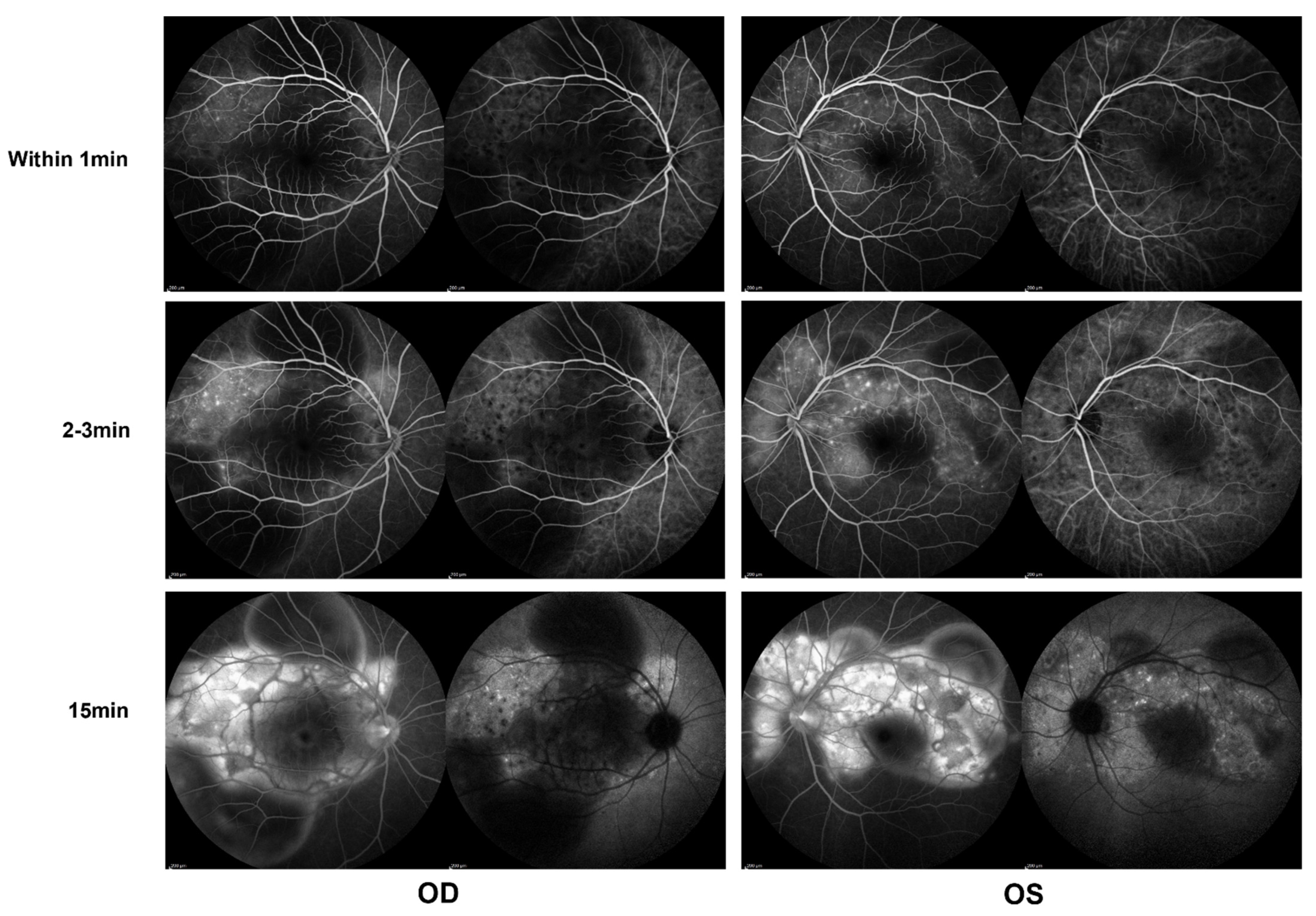 Vaccines 10 00783 g002