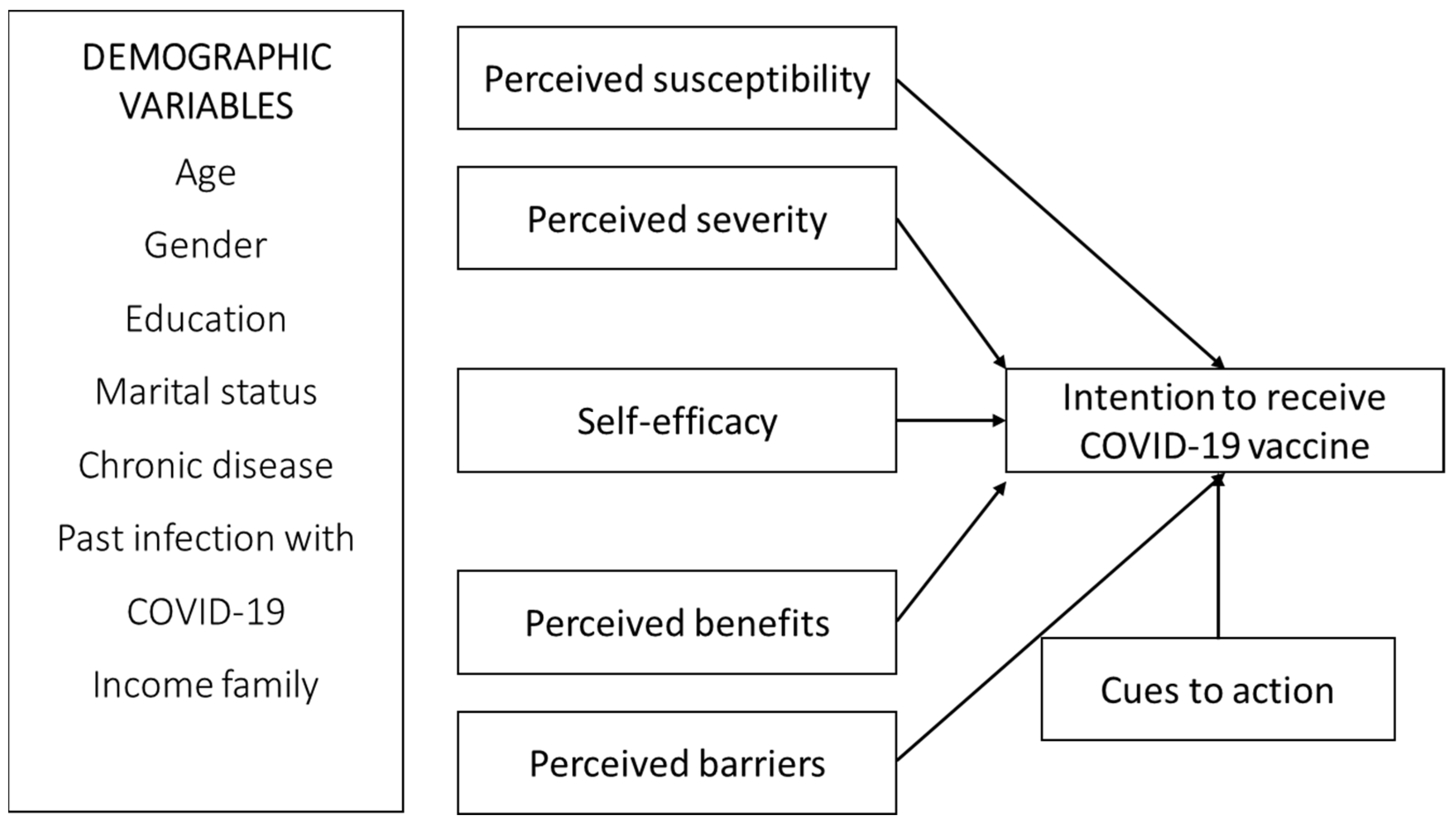 Vaccines 10 00784 g001