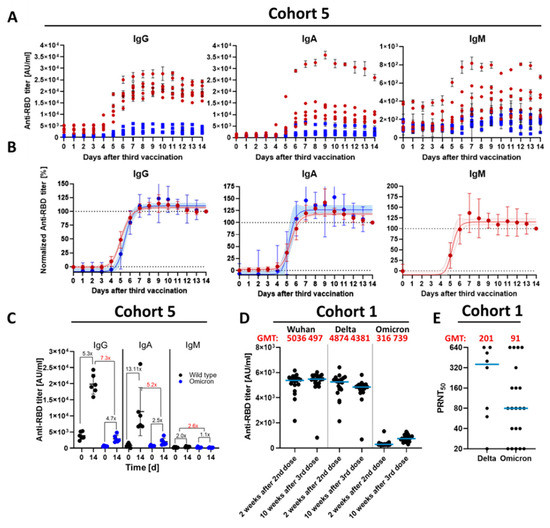Vaccines 10 00796 g001 550
