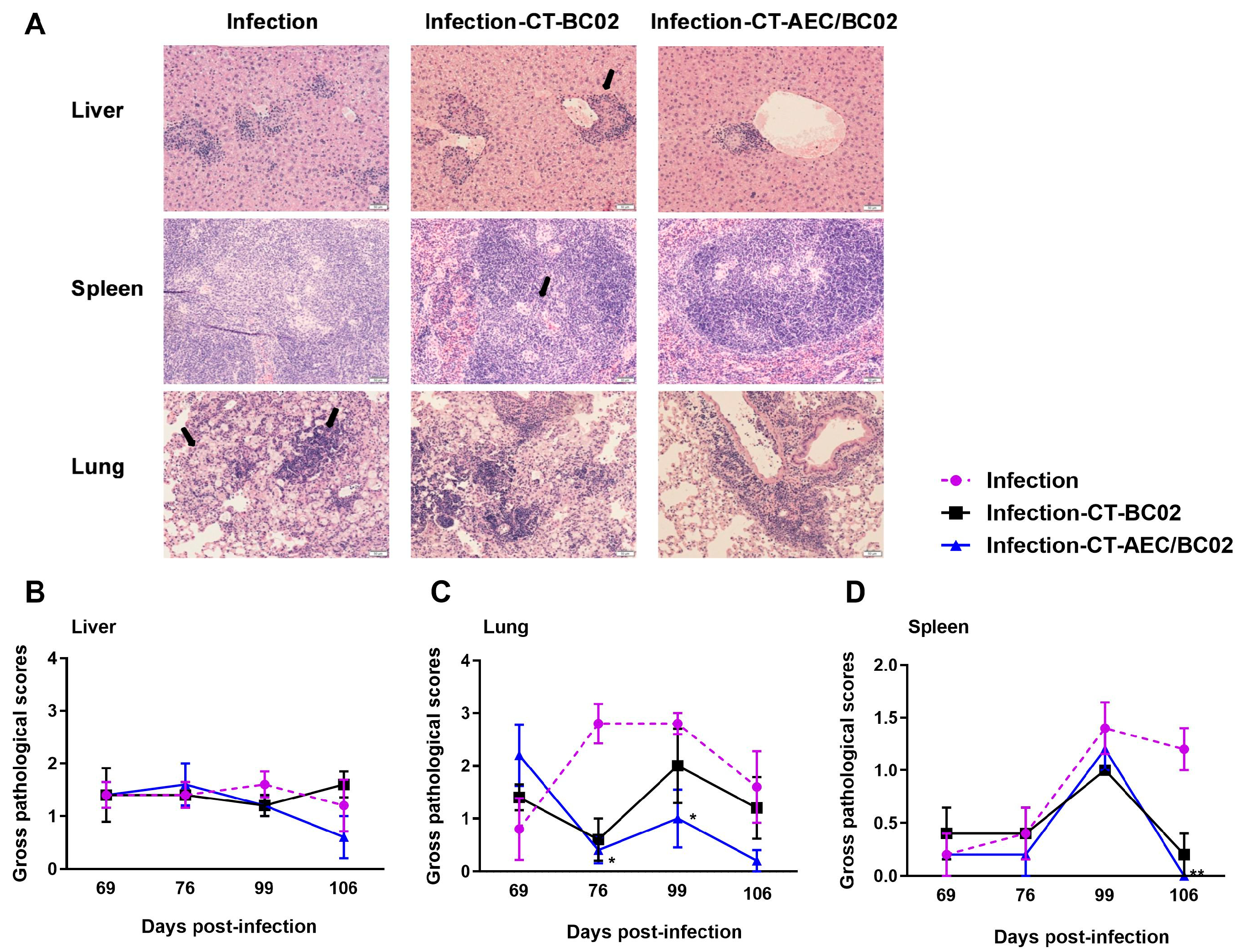 Vaccines 10 00825 g003