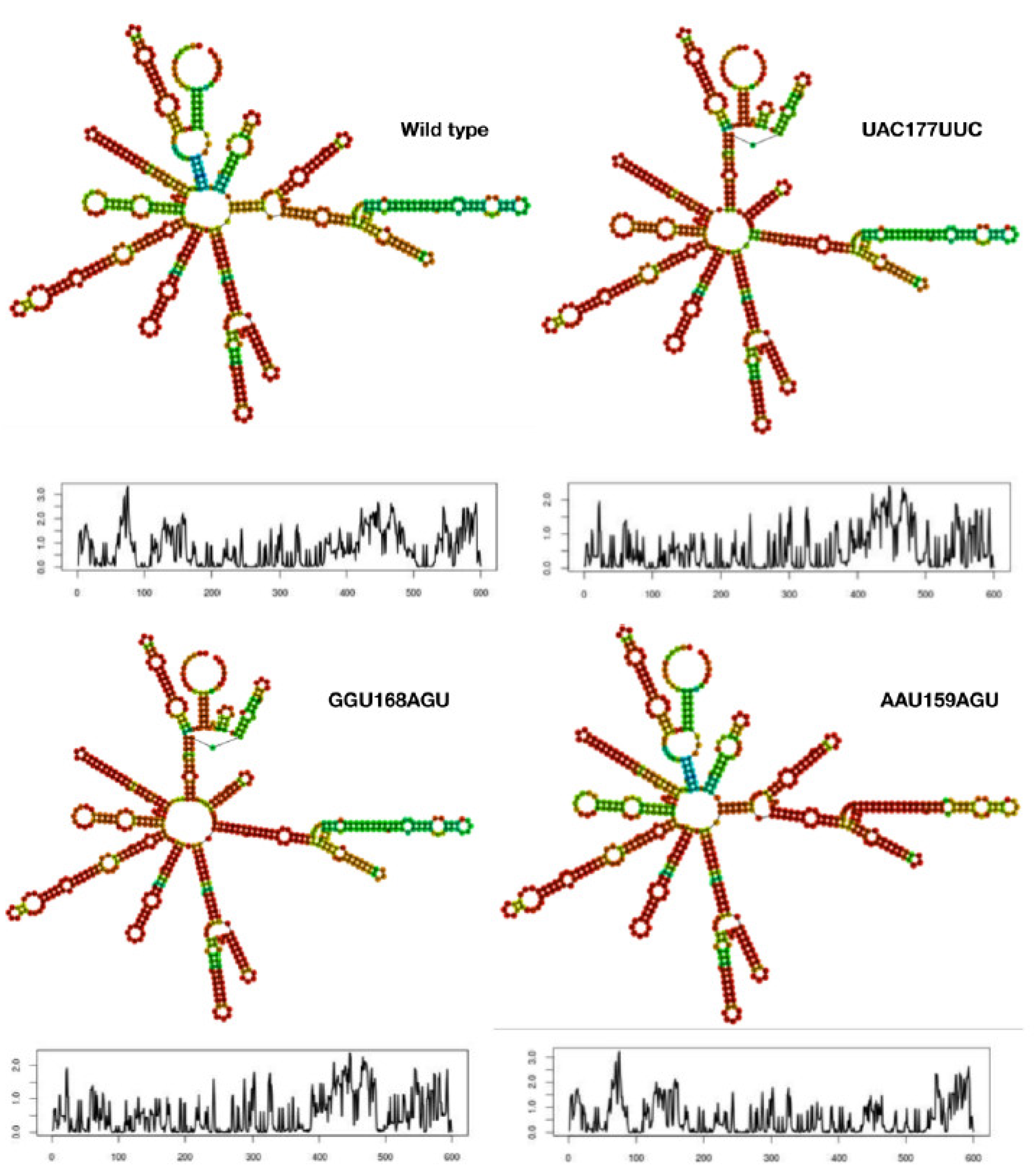 Vaccines 10 00841 g003