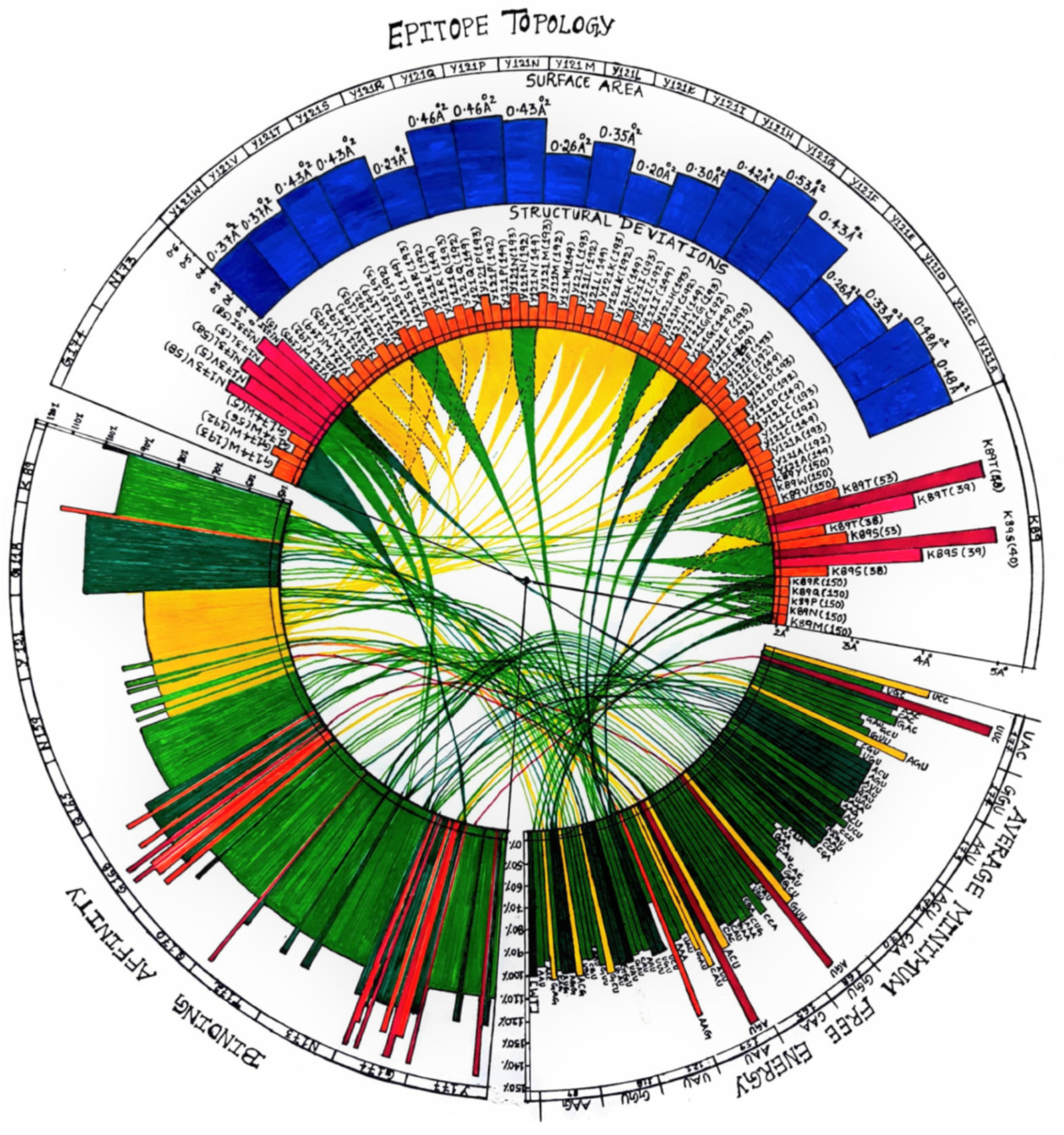 Vaccines 10 00841 g004a